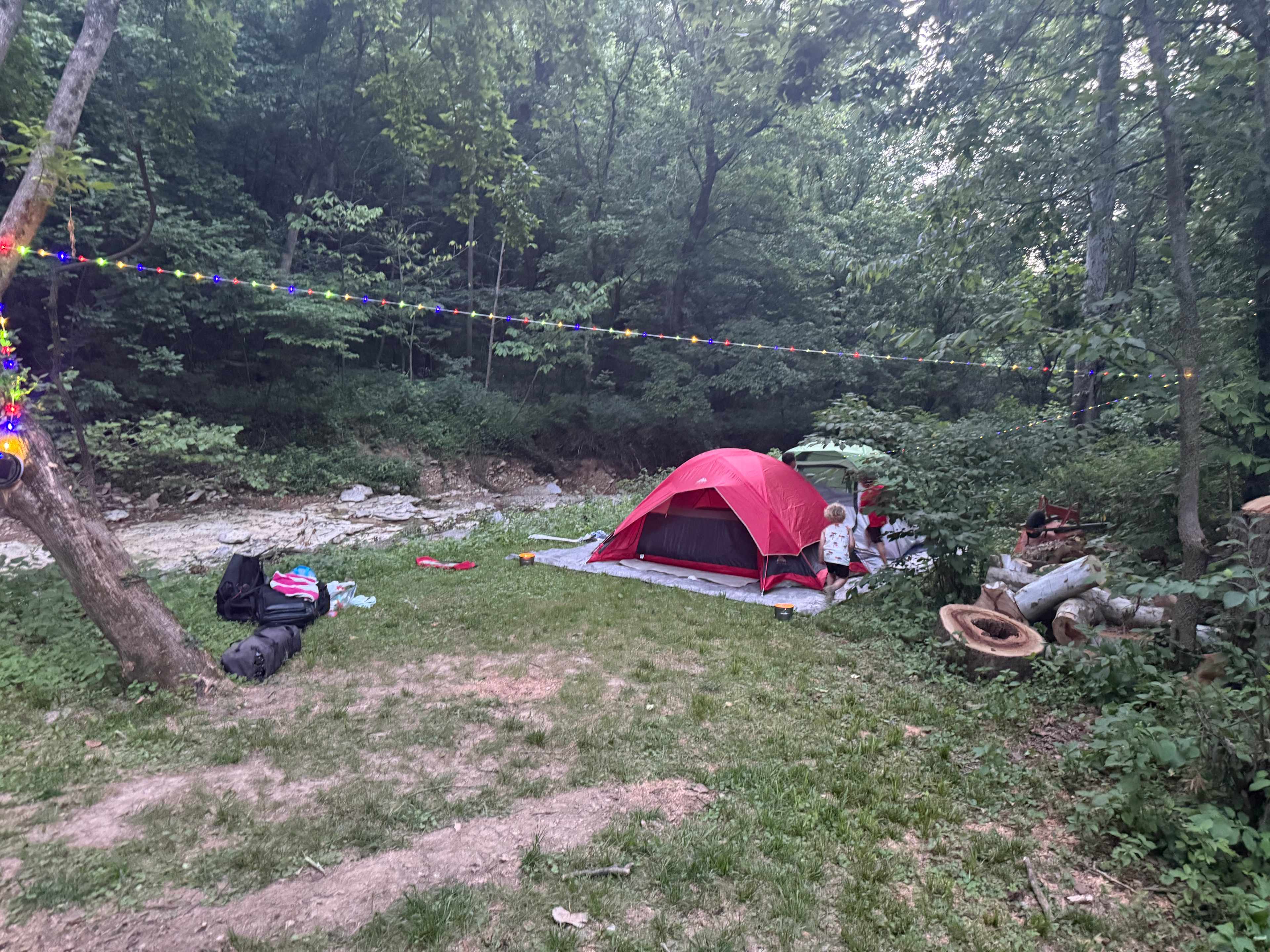 Picture of the site