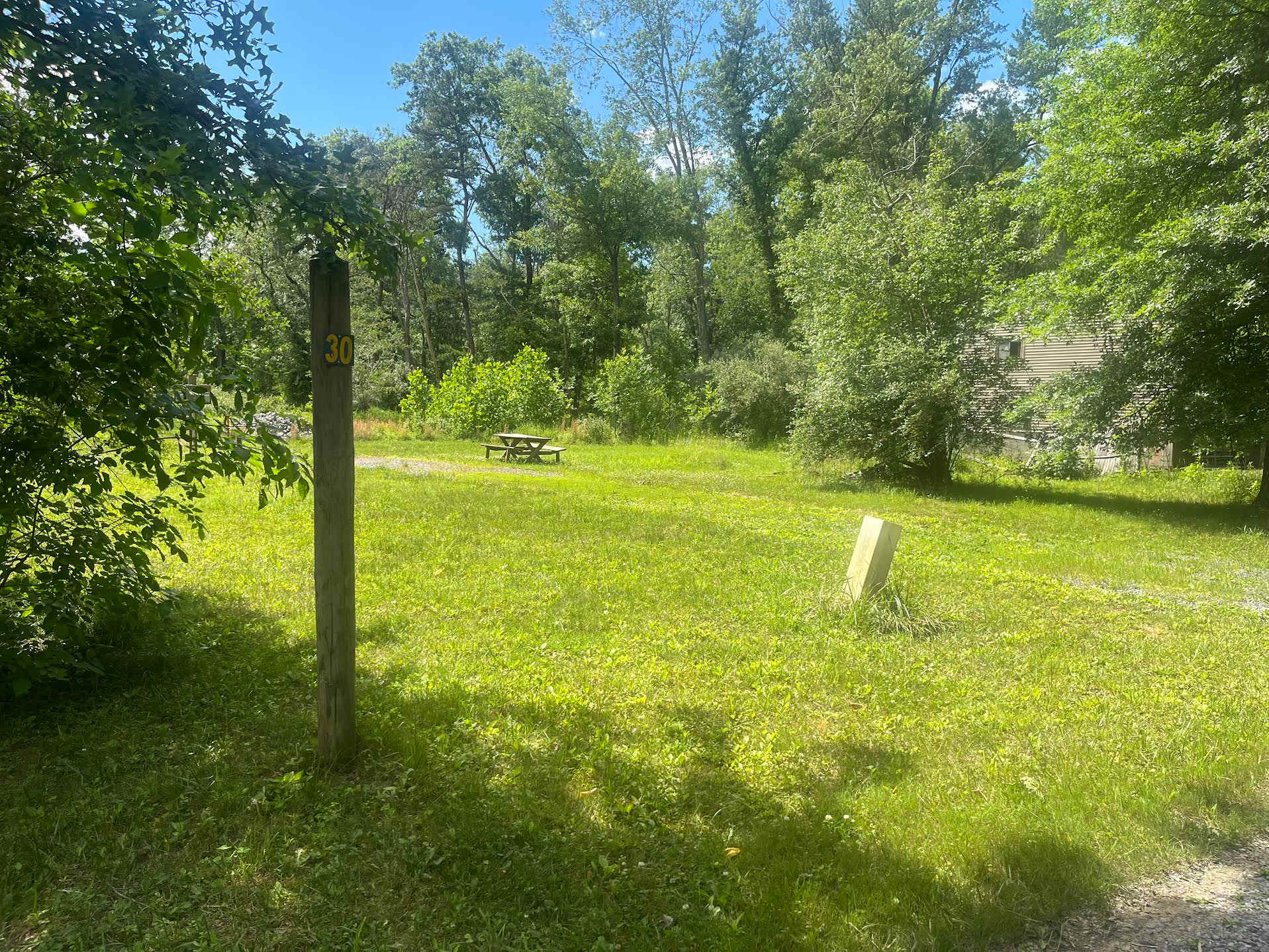 Picture of the site