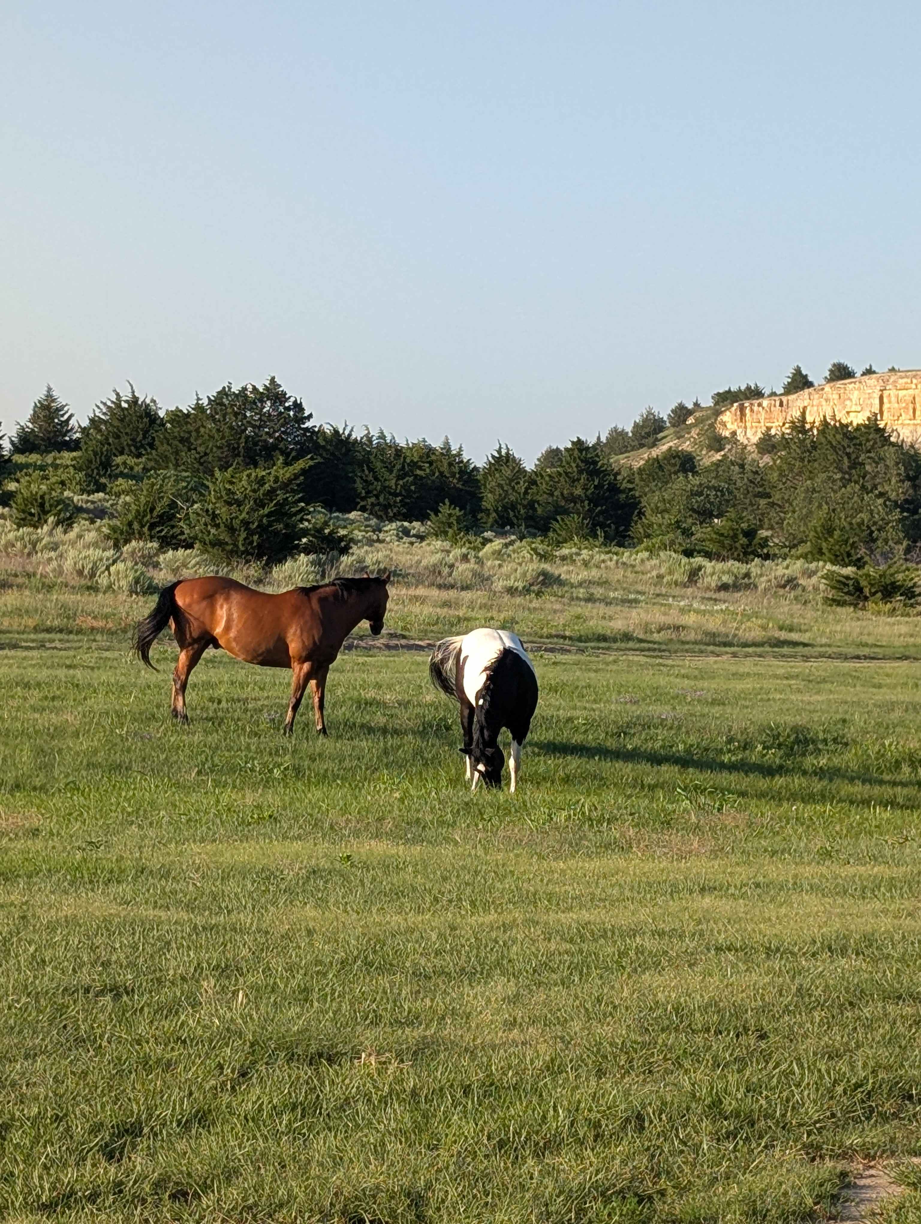 C2T Ranch on the Saline River