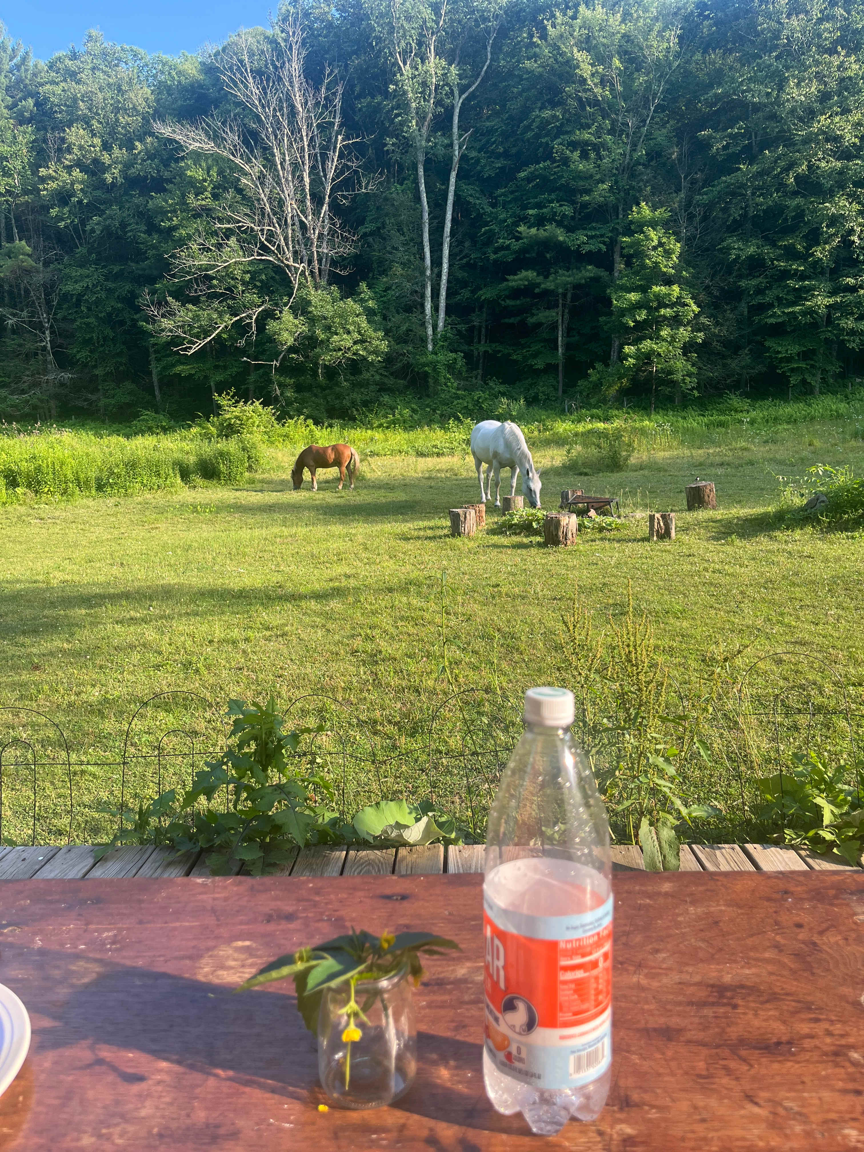 Beavertides Farm