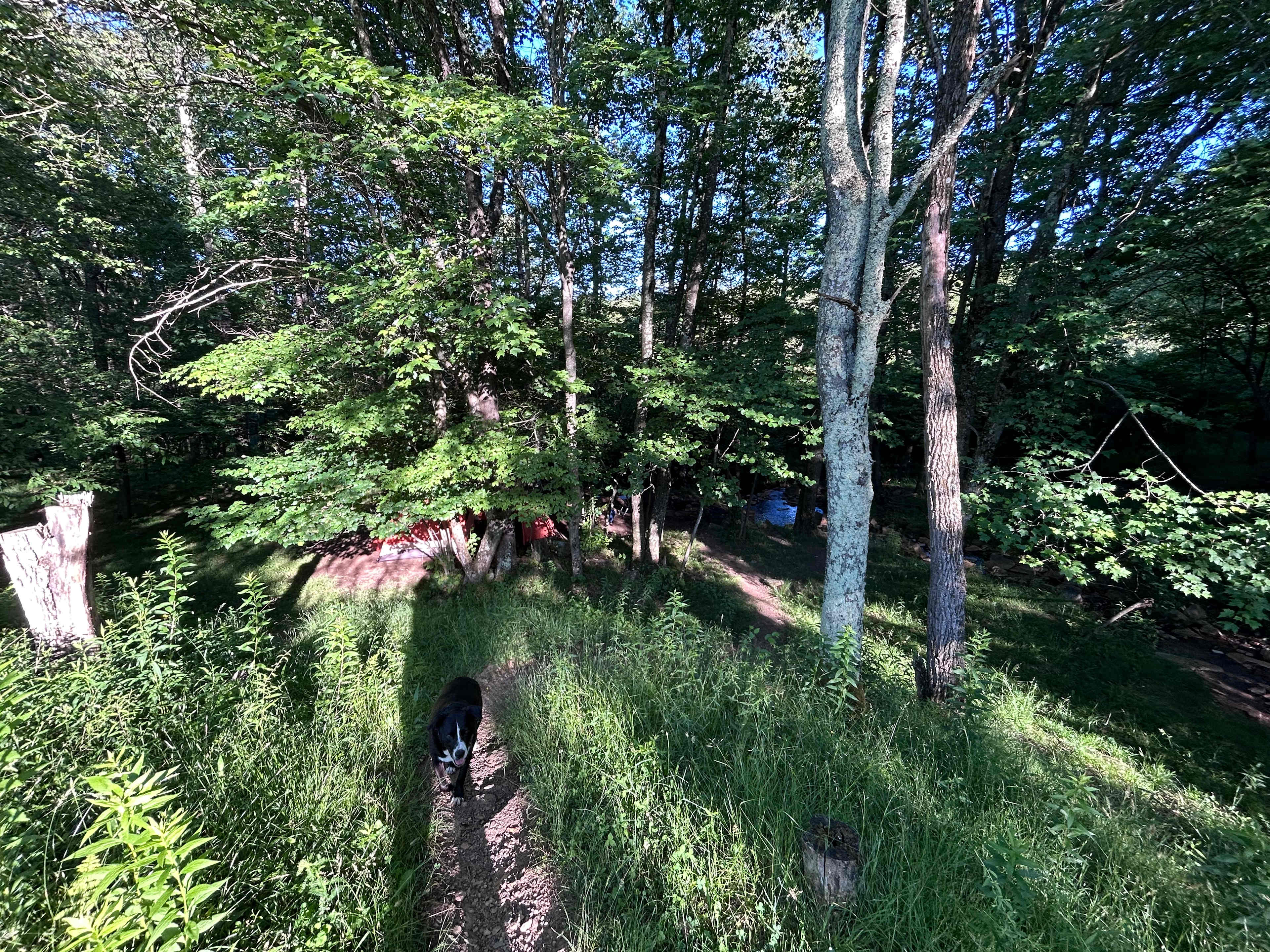 Hard to see with the sun, but this is the (short, steep) trail to the campsite. 