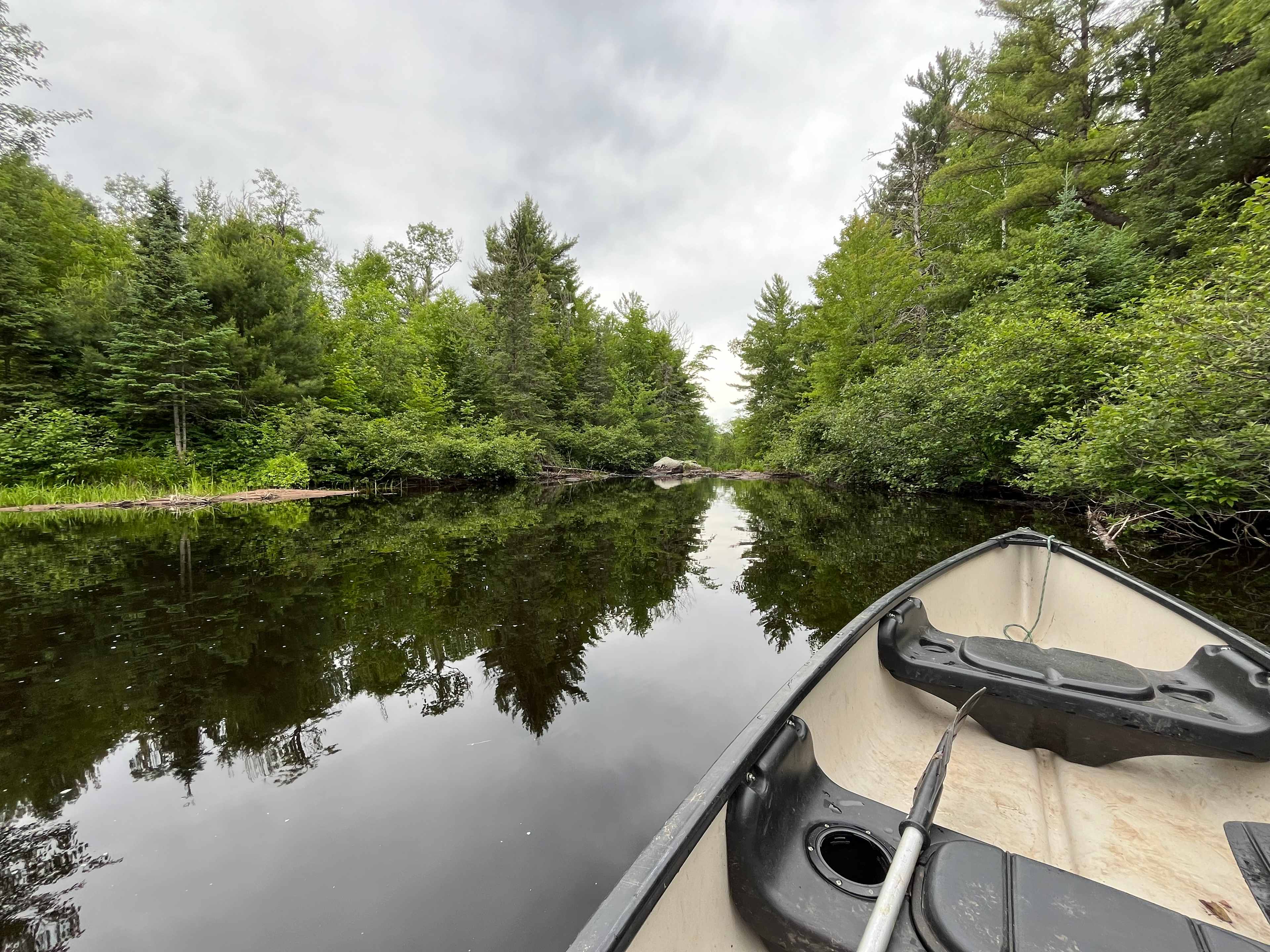 Bad River Wilderness