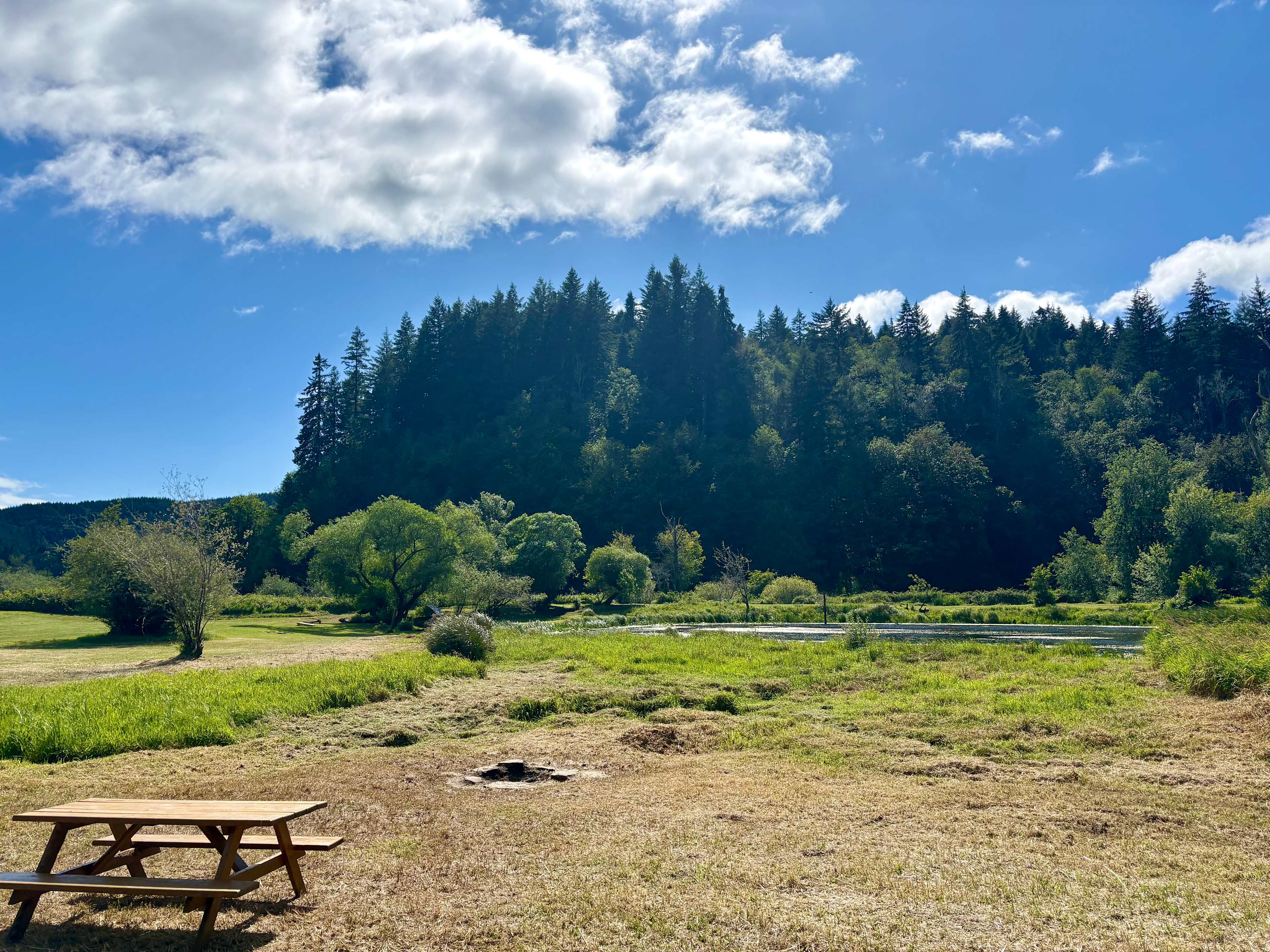 Picture of the site