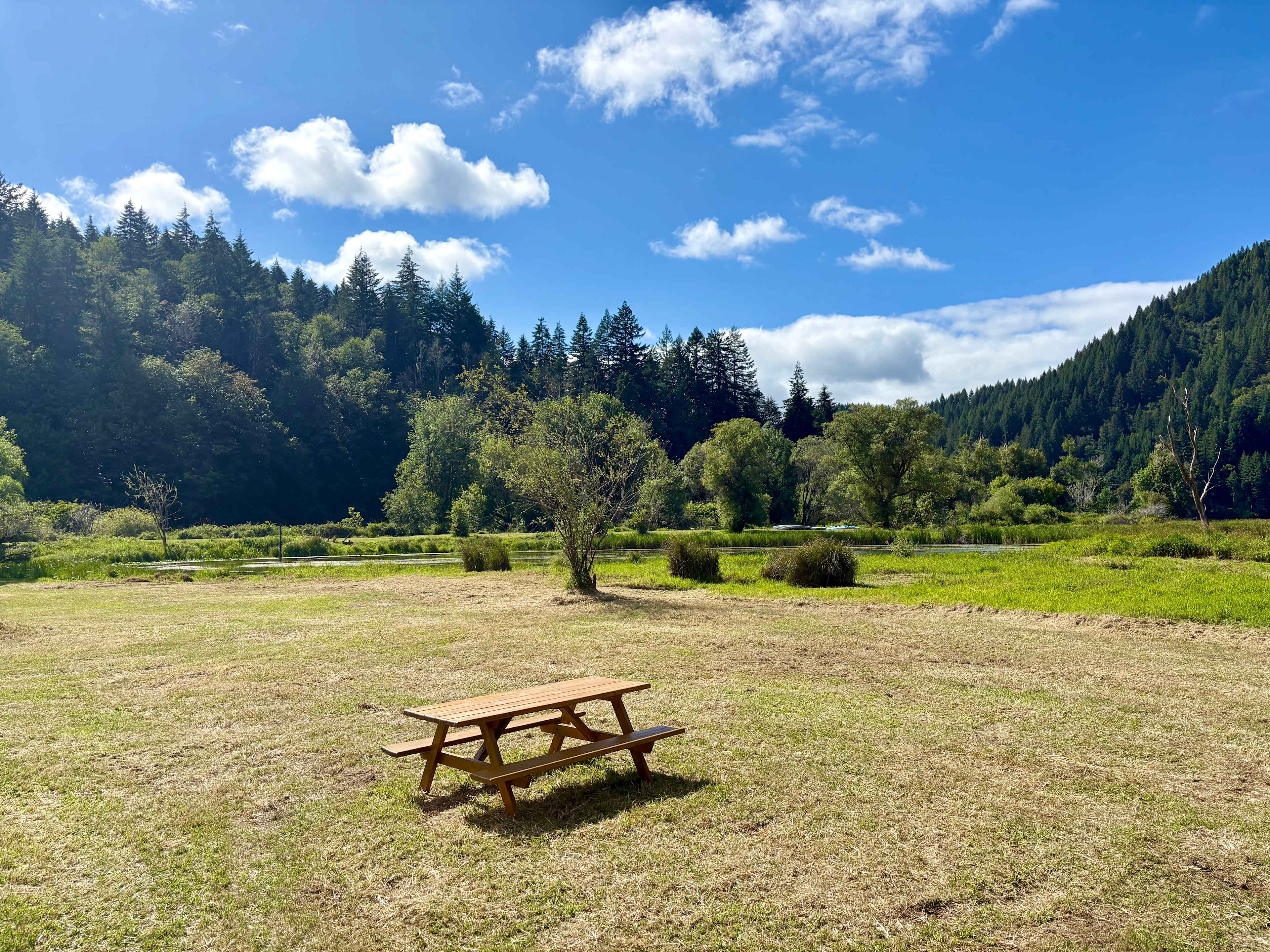 Picture of the site