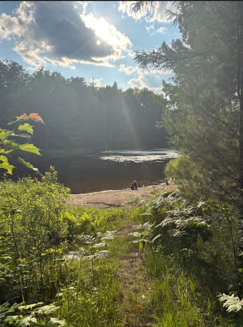 Picture of the site