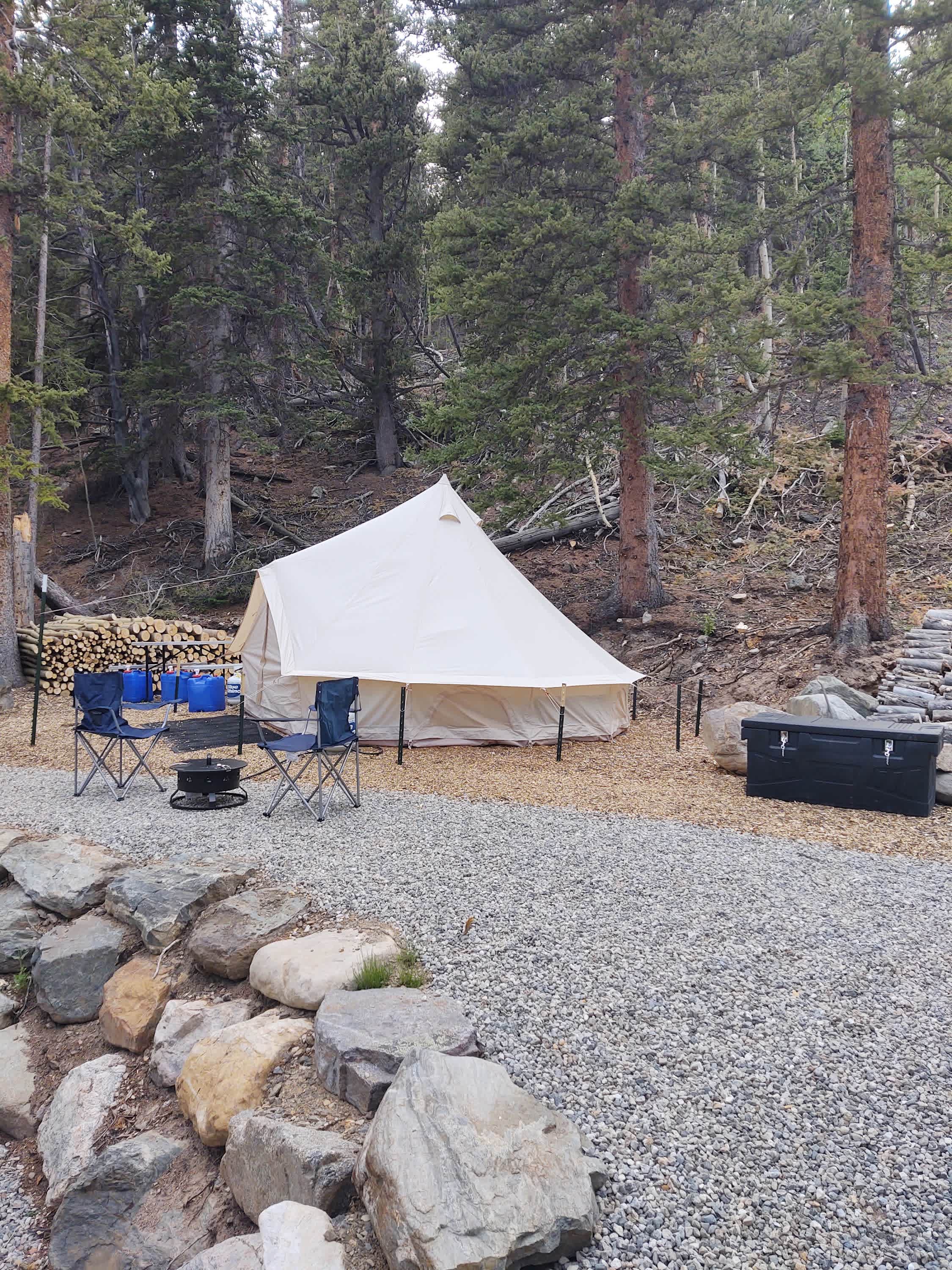 Picture of the site