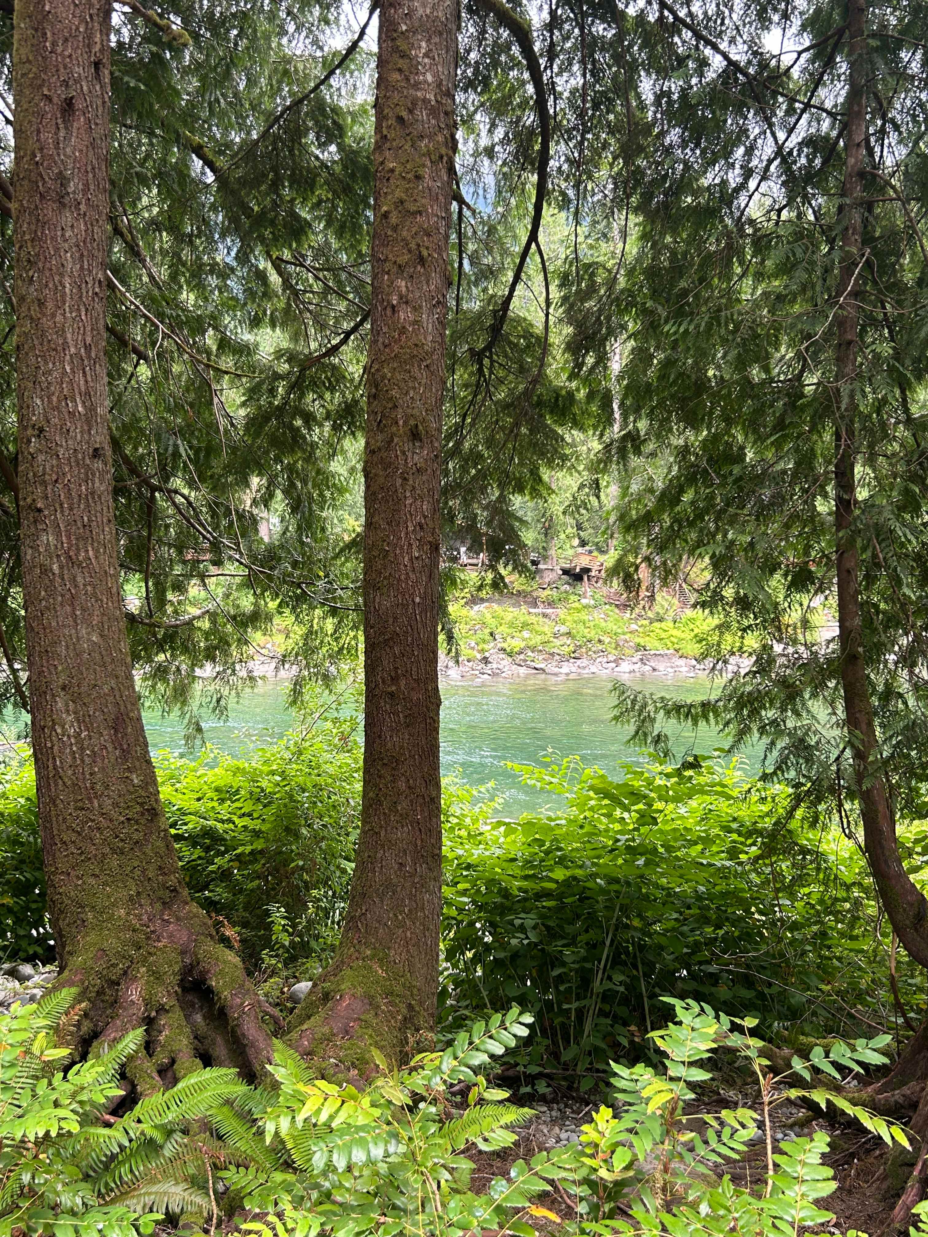 View from the camp site. 