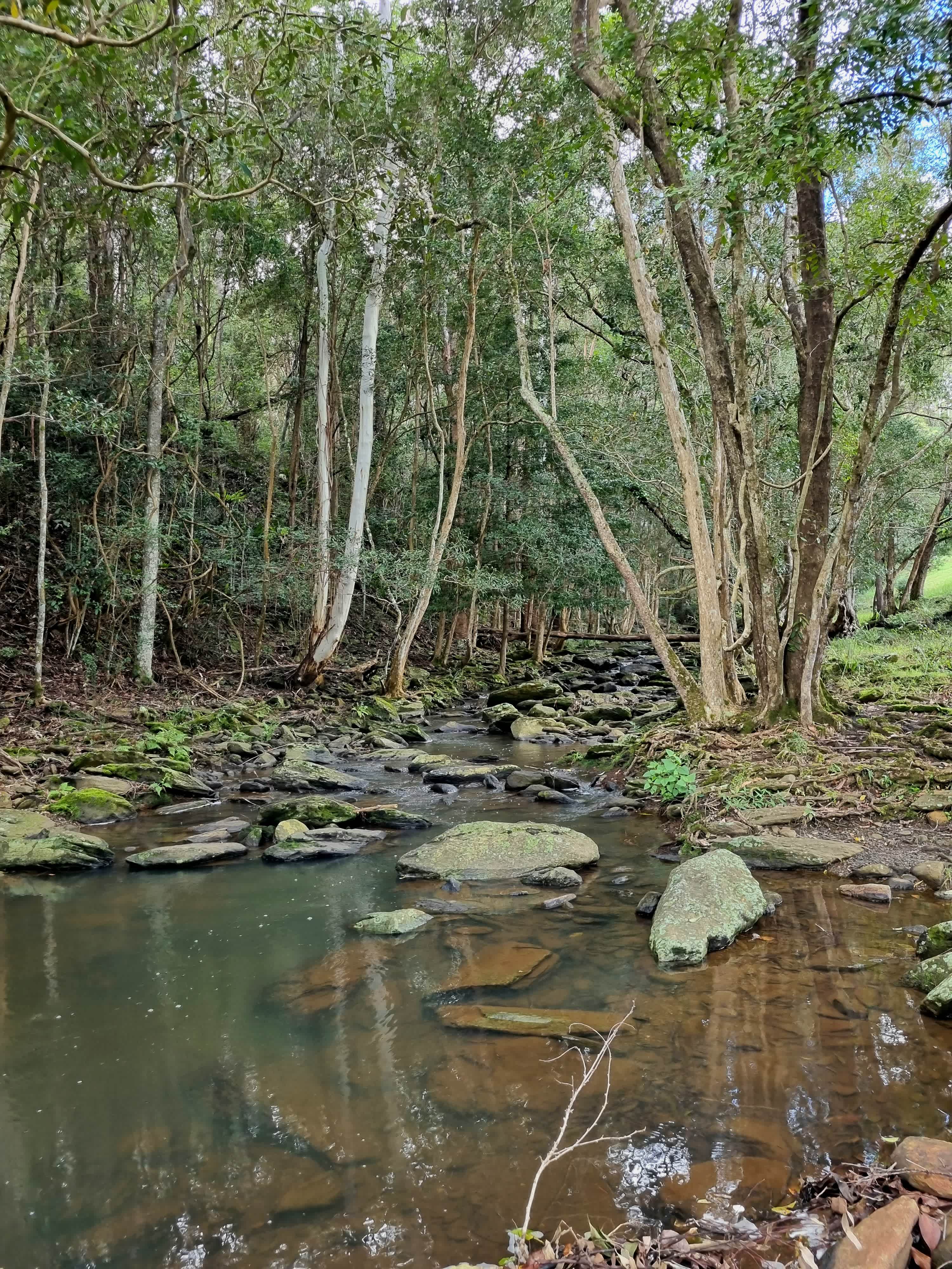 Coorie Vale