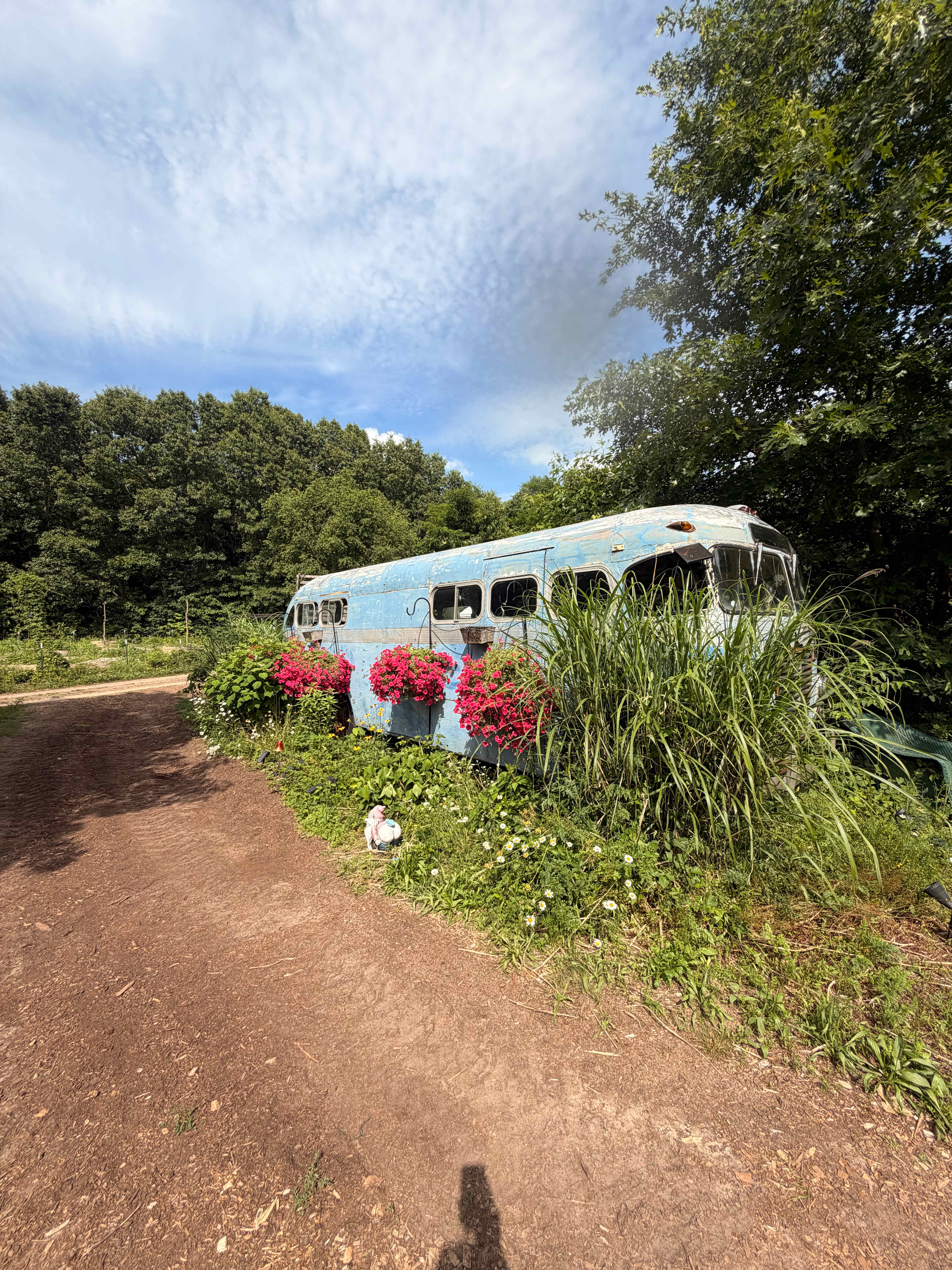 Welcome bus!