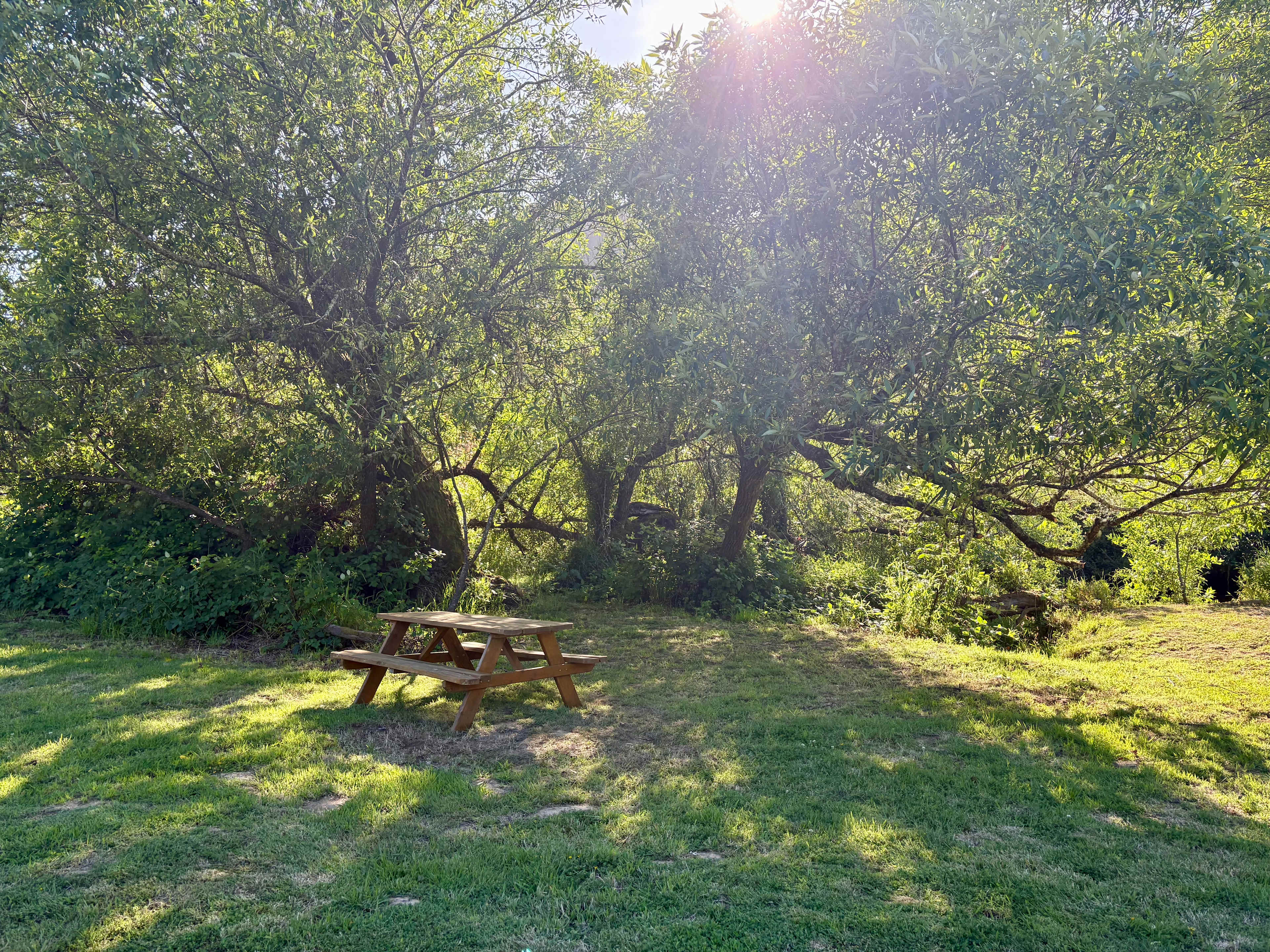 The Park at Loon Lake