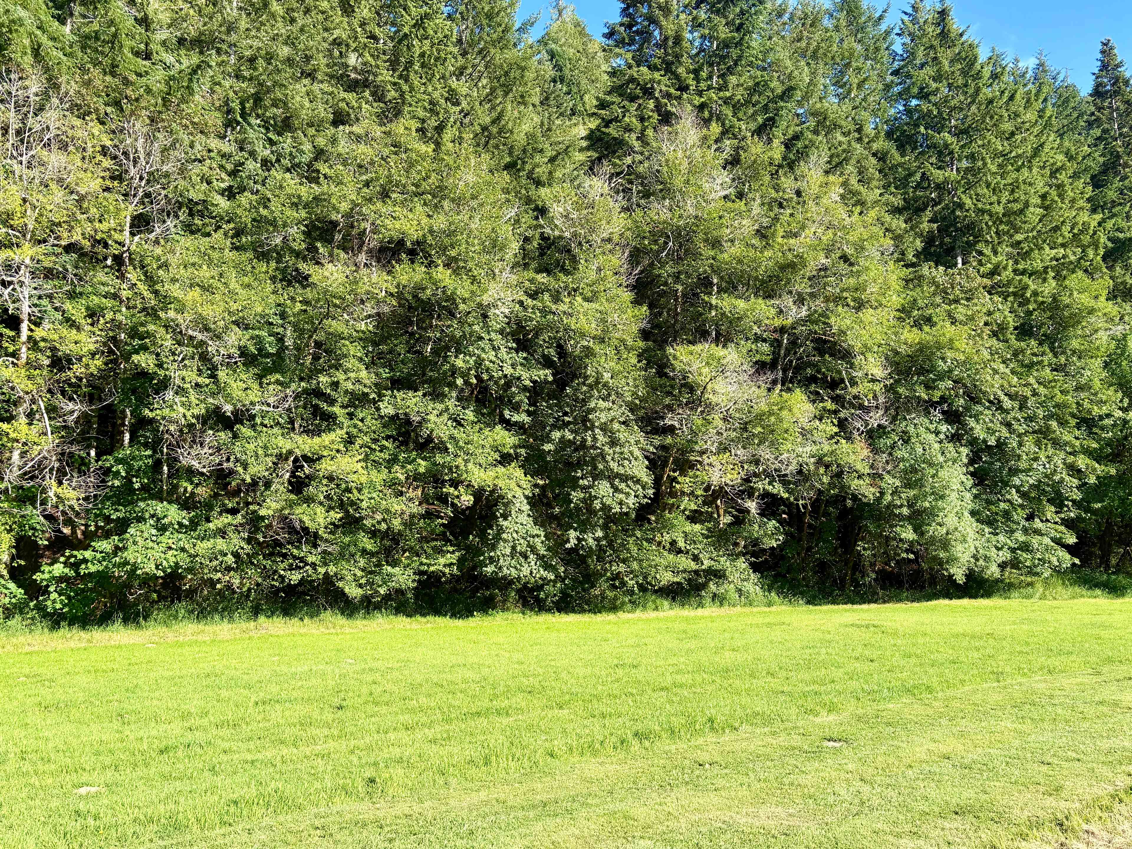 The Park at Loon Lake