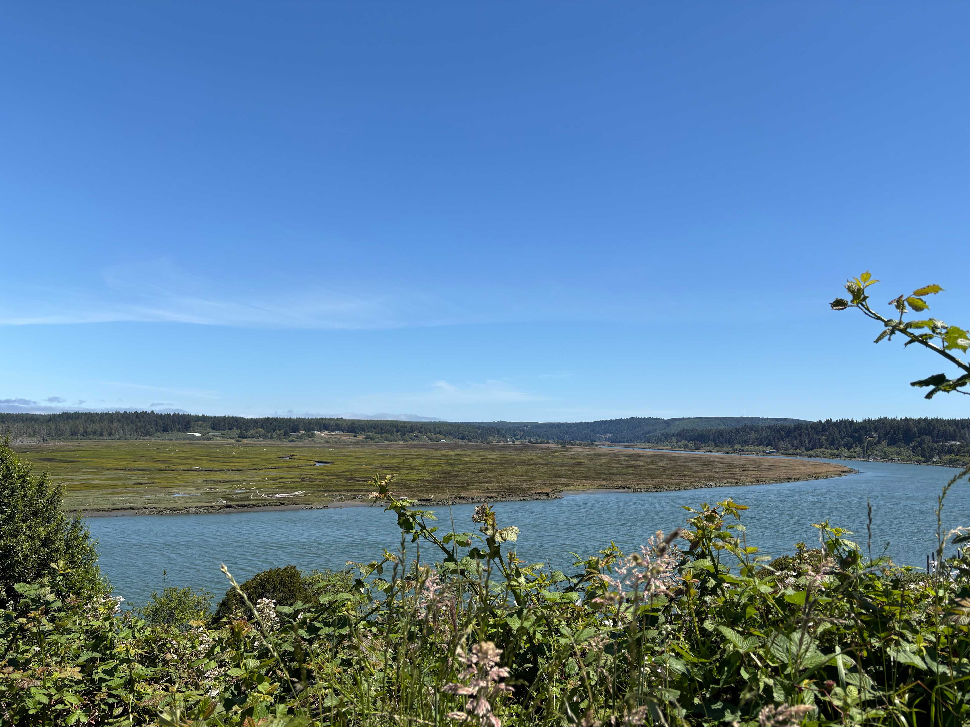 Prosper Bluff