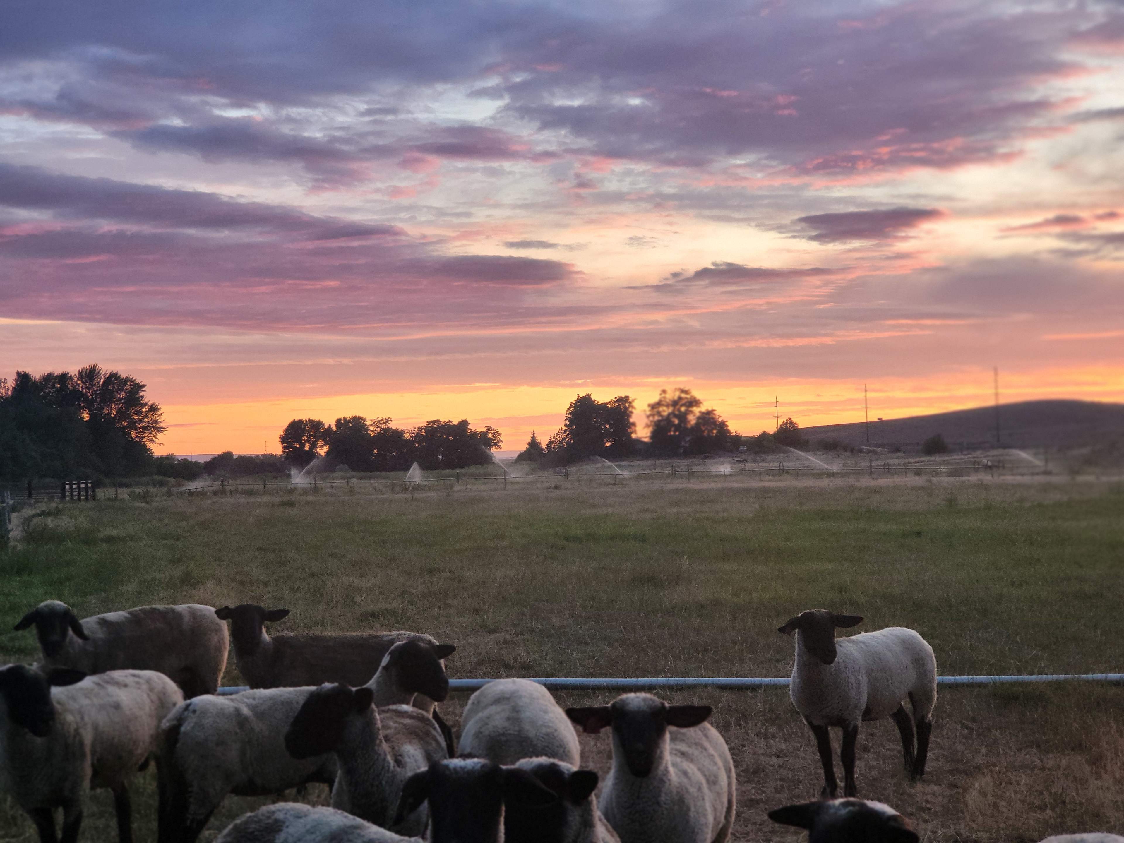 Mill Creek Farm/Park
