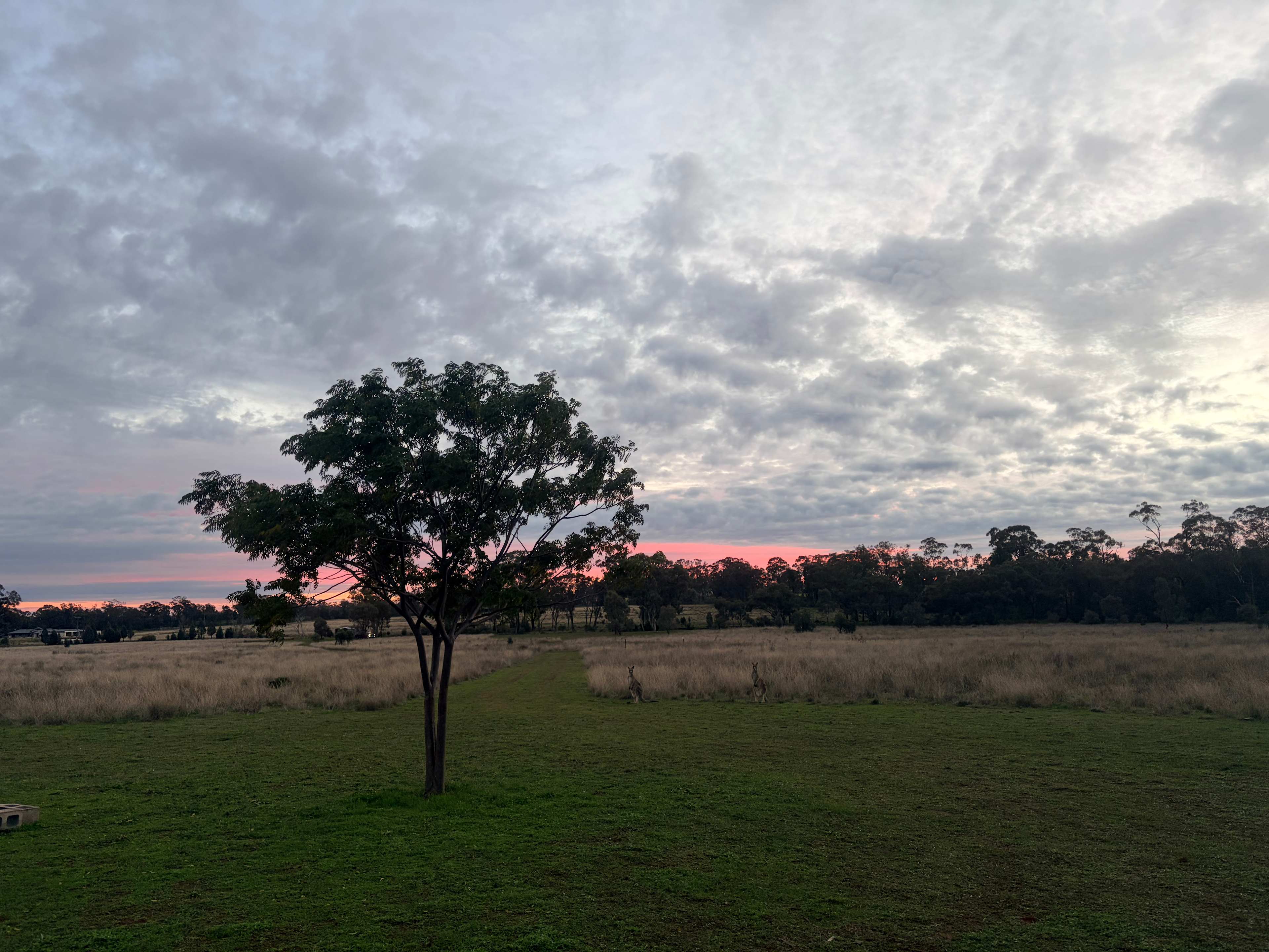 KANGAROO CREEK CAMP DUBBO