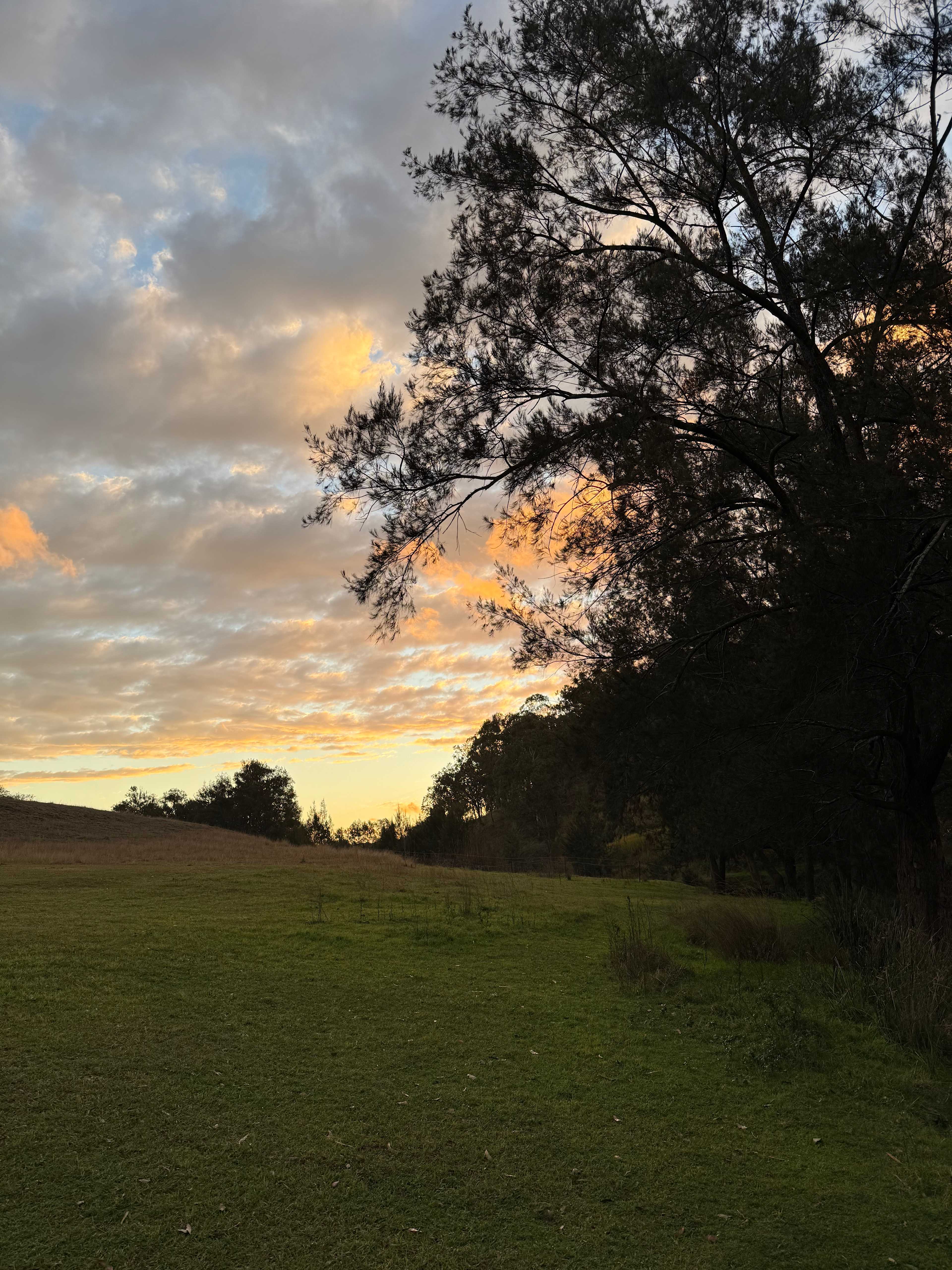 Millar Vale Creek Camping Innisfree