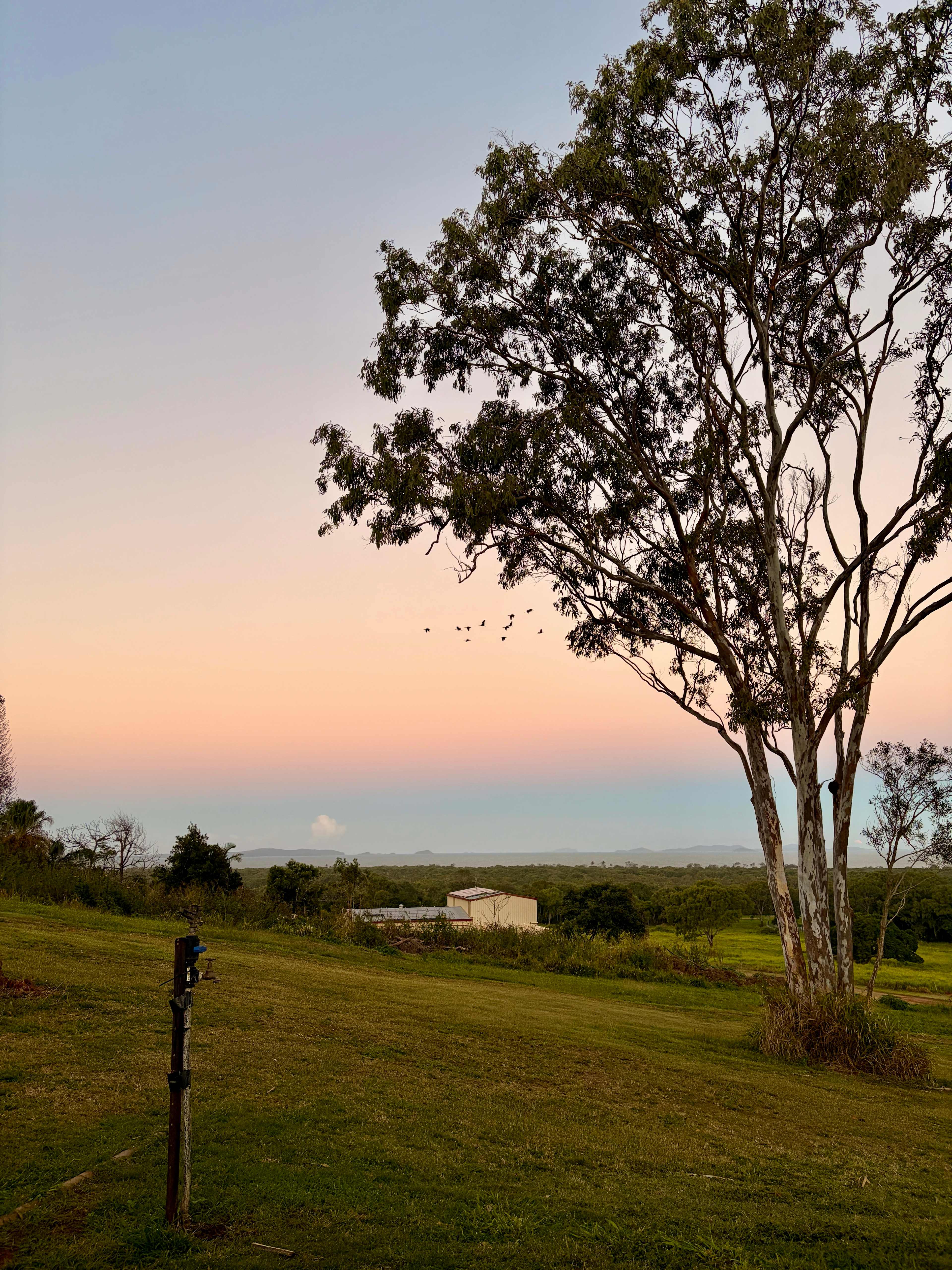 Yeppoon Farmstay