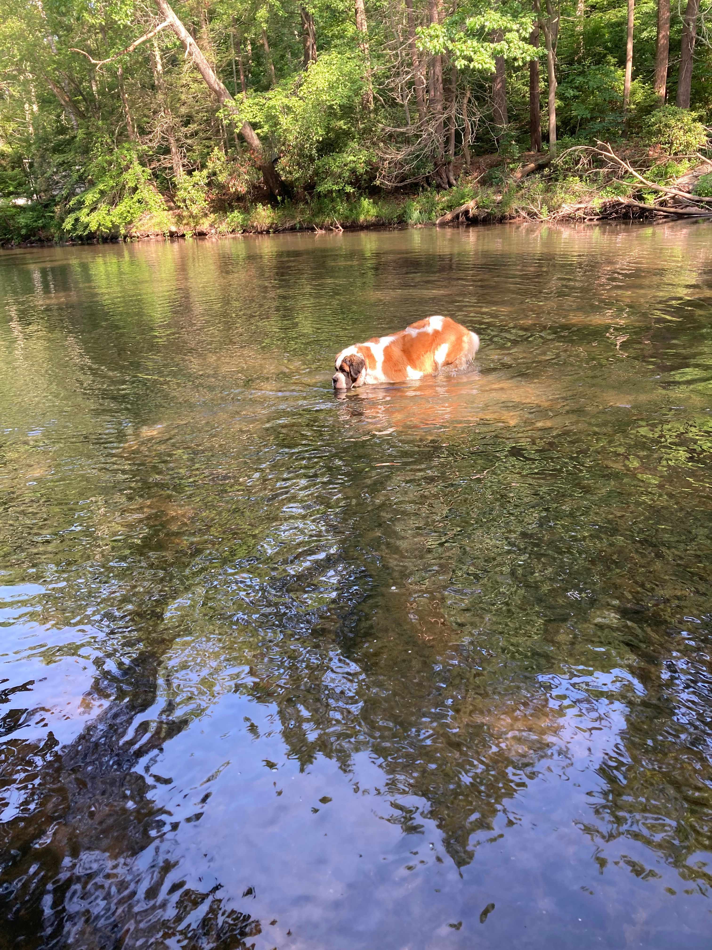 River Mountain Outdoors