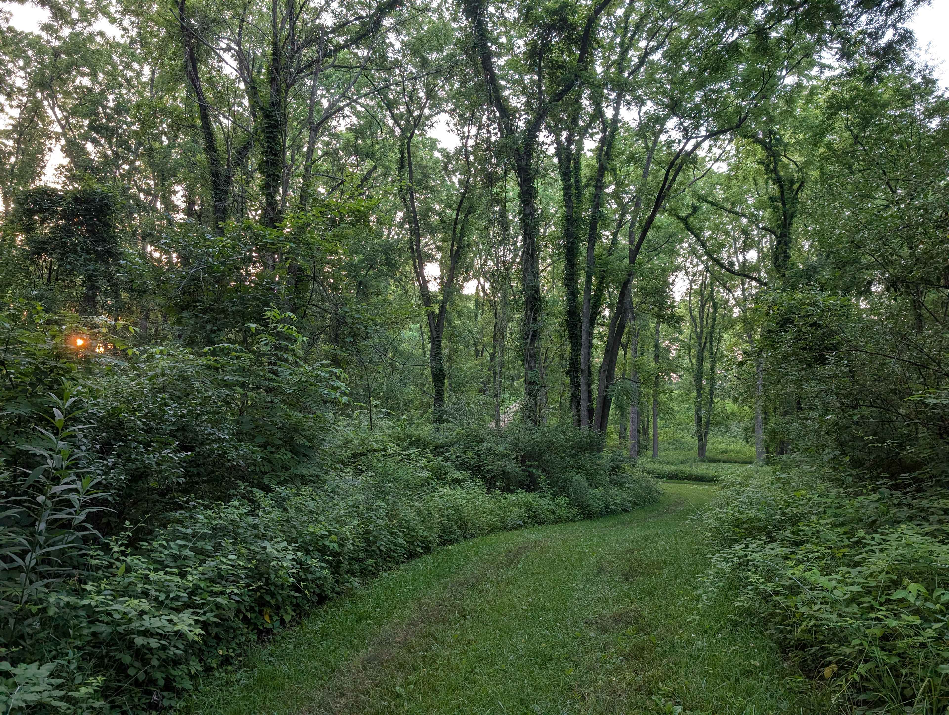 Down the path 
