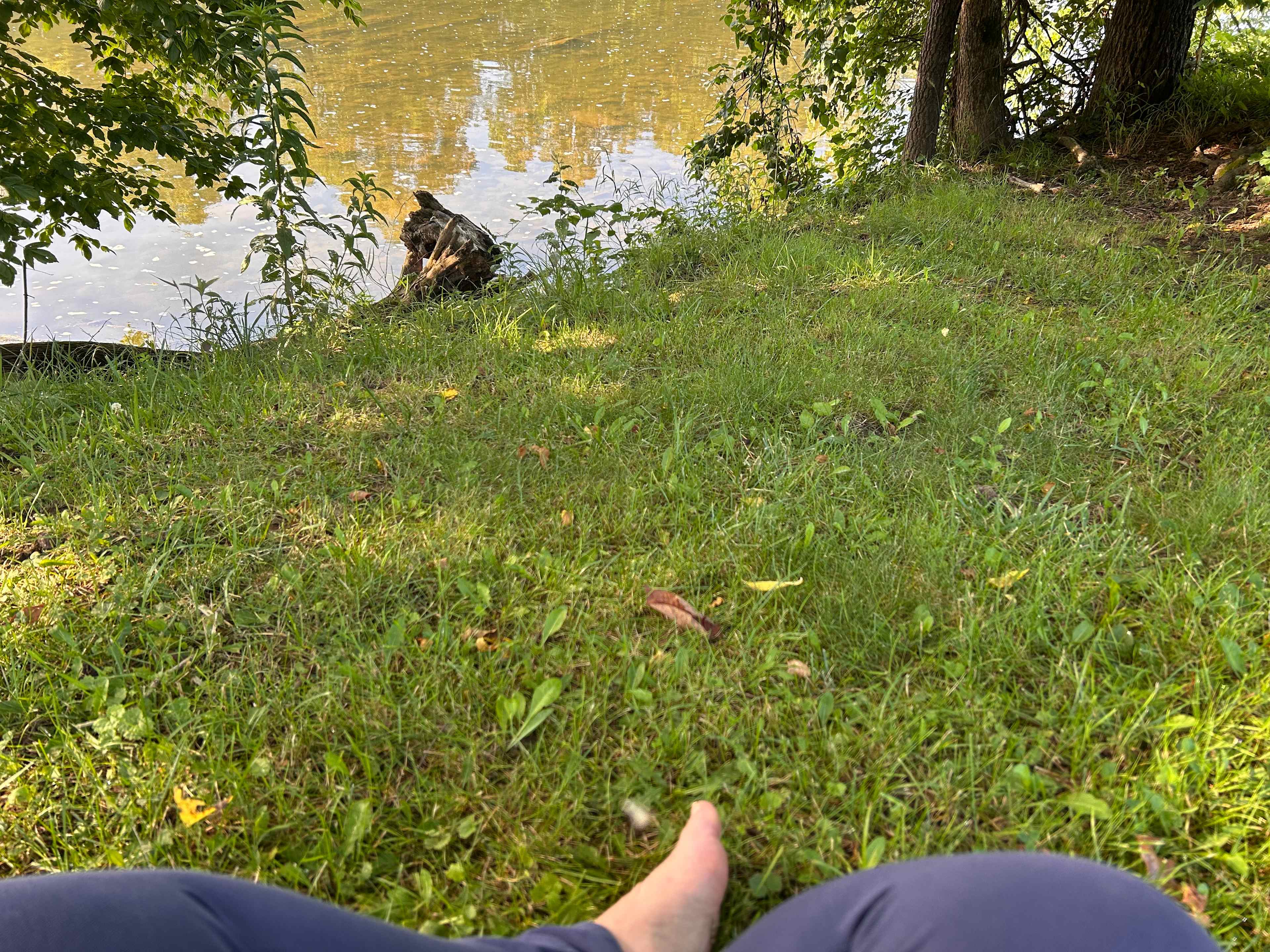 Morning meditation on the banks of the Shenandoah River 10 feet front the yurt door.