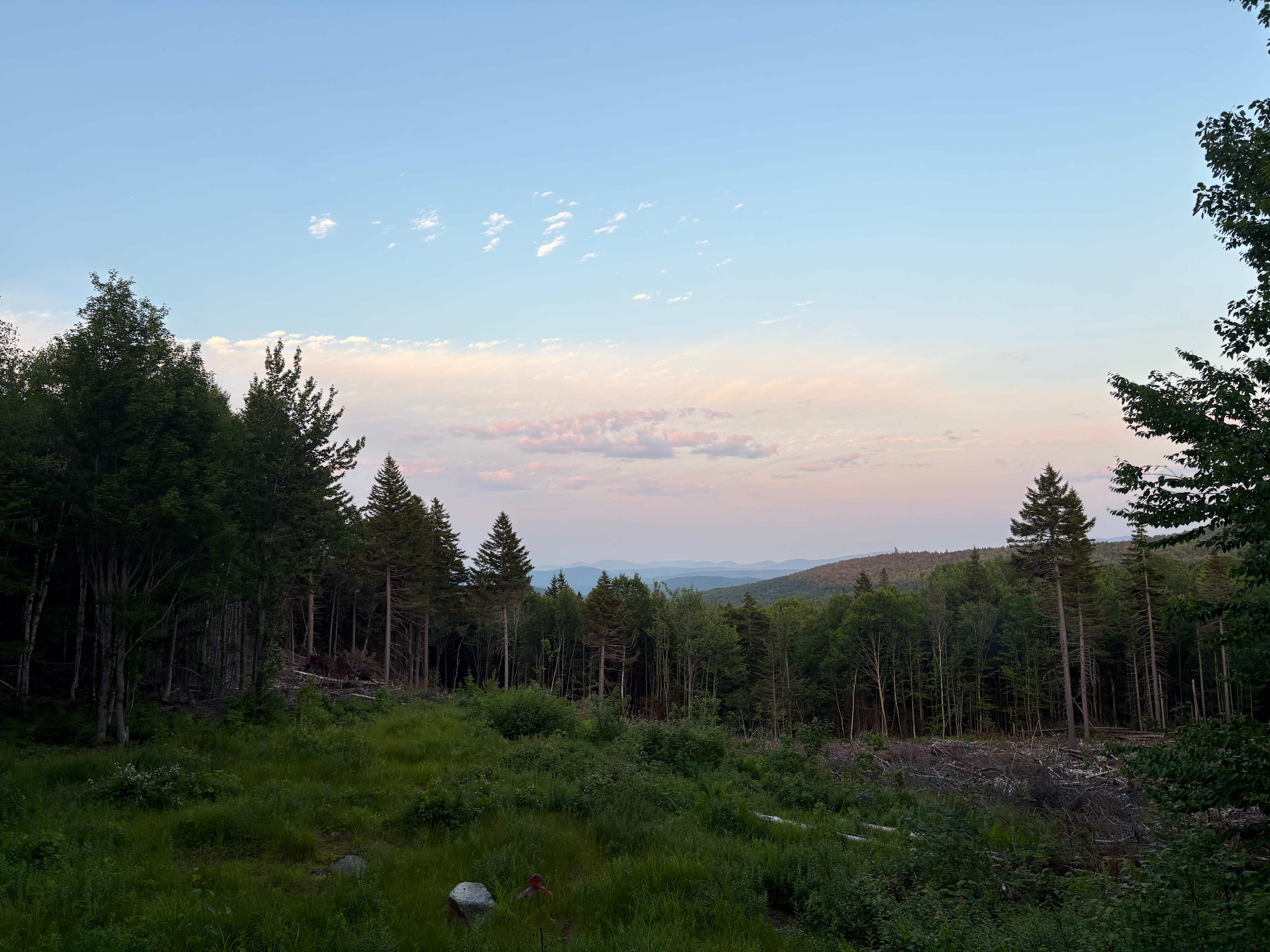 Saddleback Base Camp