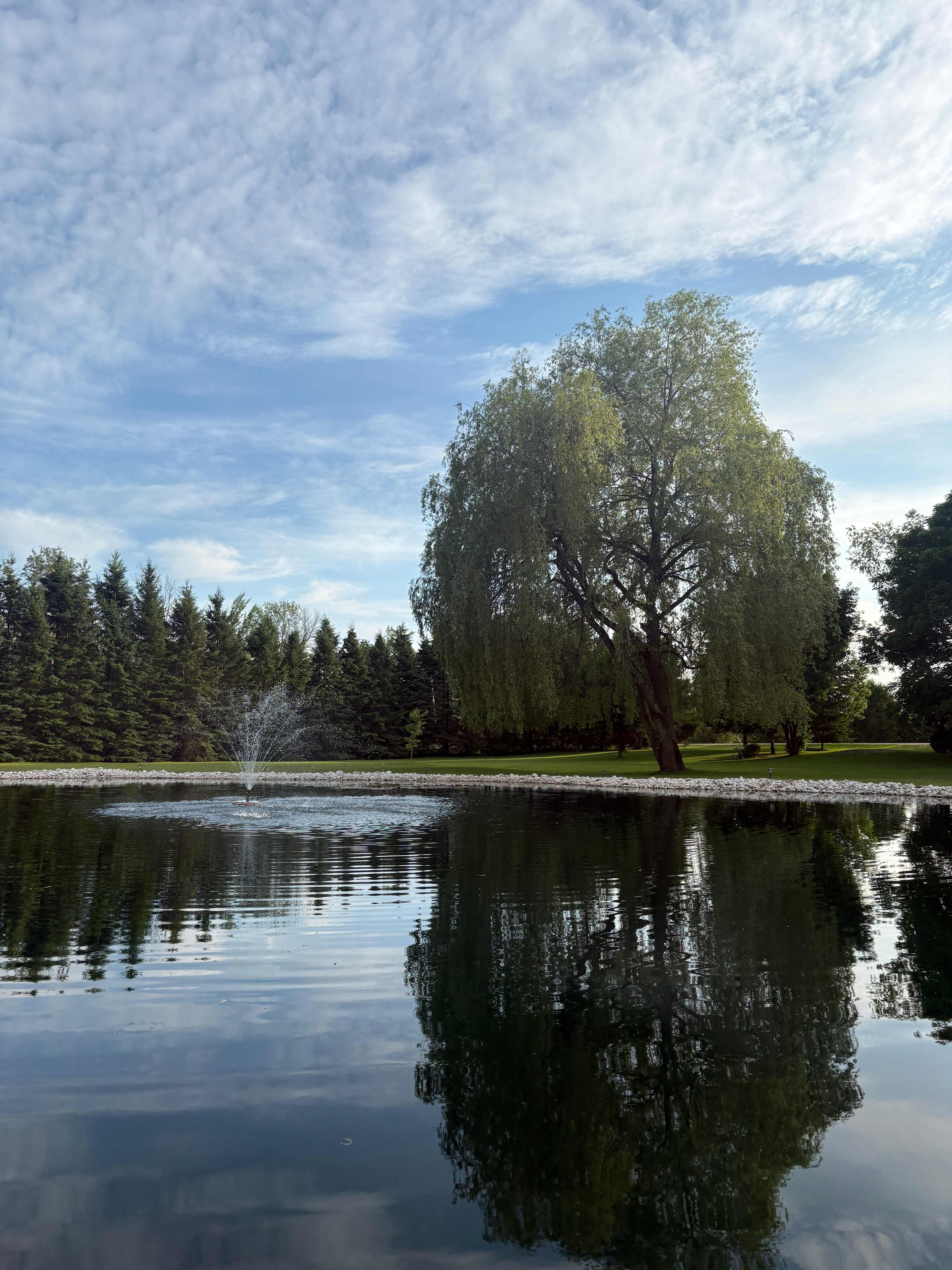 Willow Pond Haven