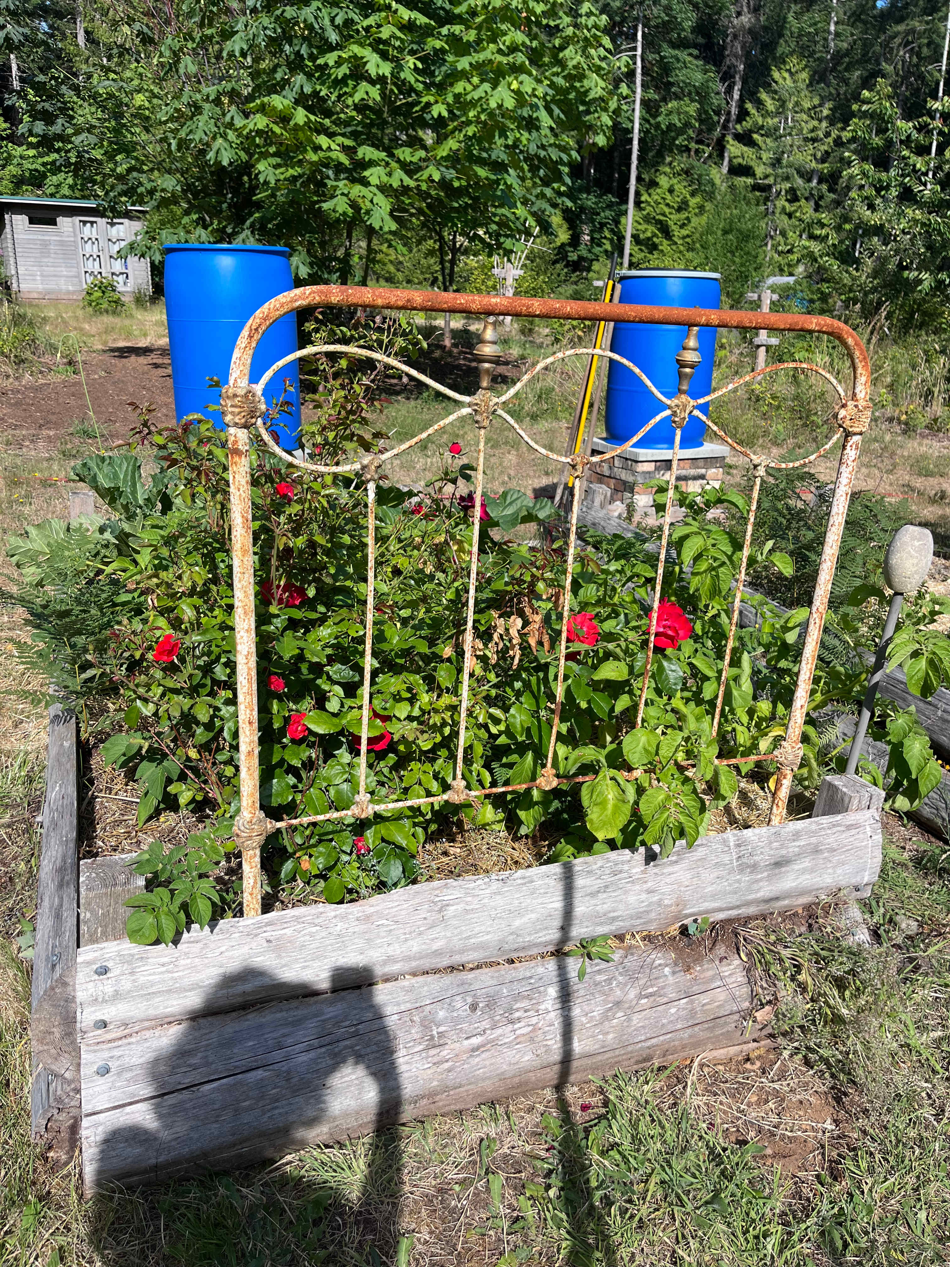 “Garden beds” 😂
