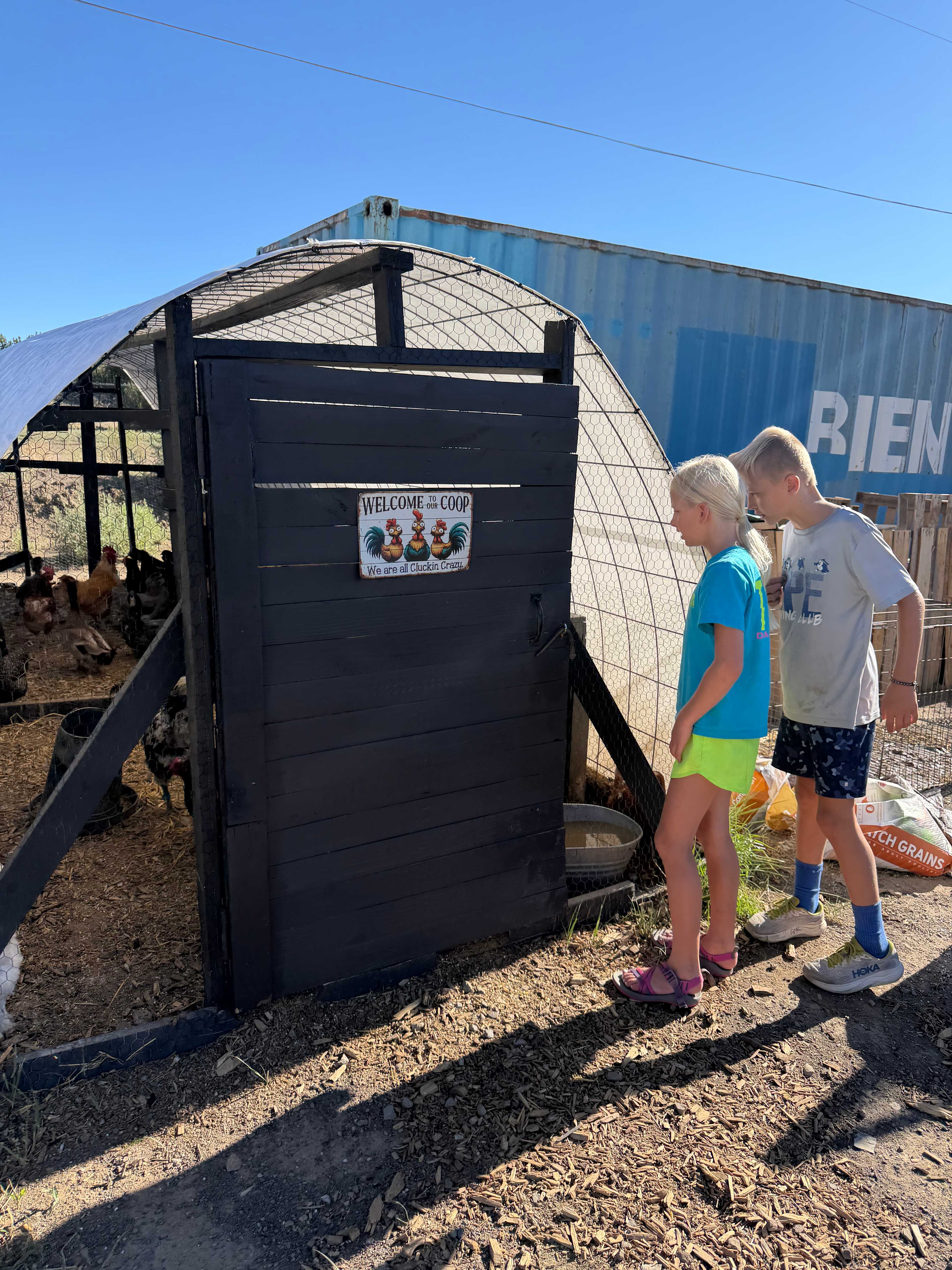 Duck and chicken coop