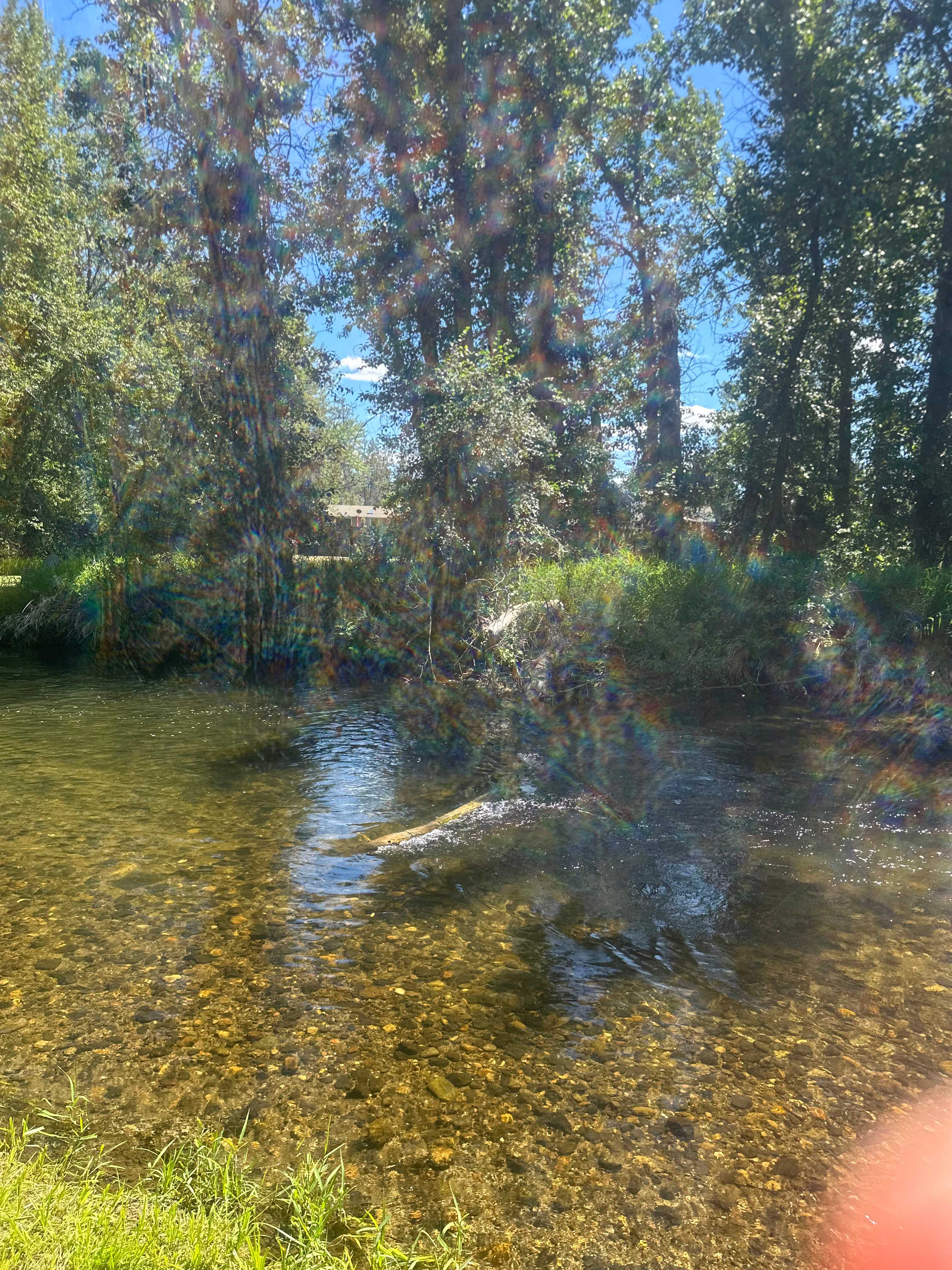 from the beach area looking at the lil Spokane River, deepest hip level