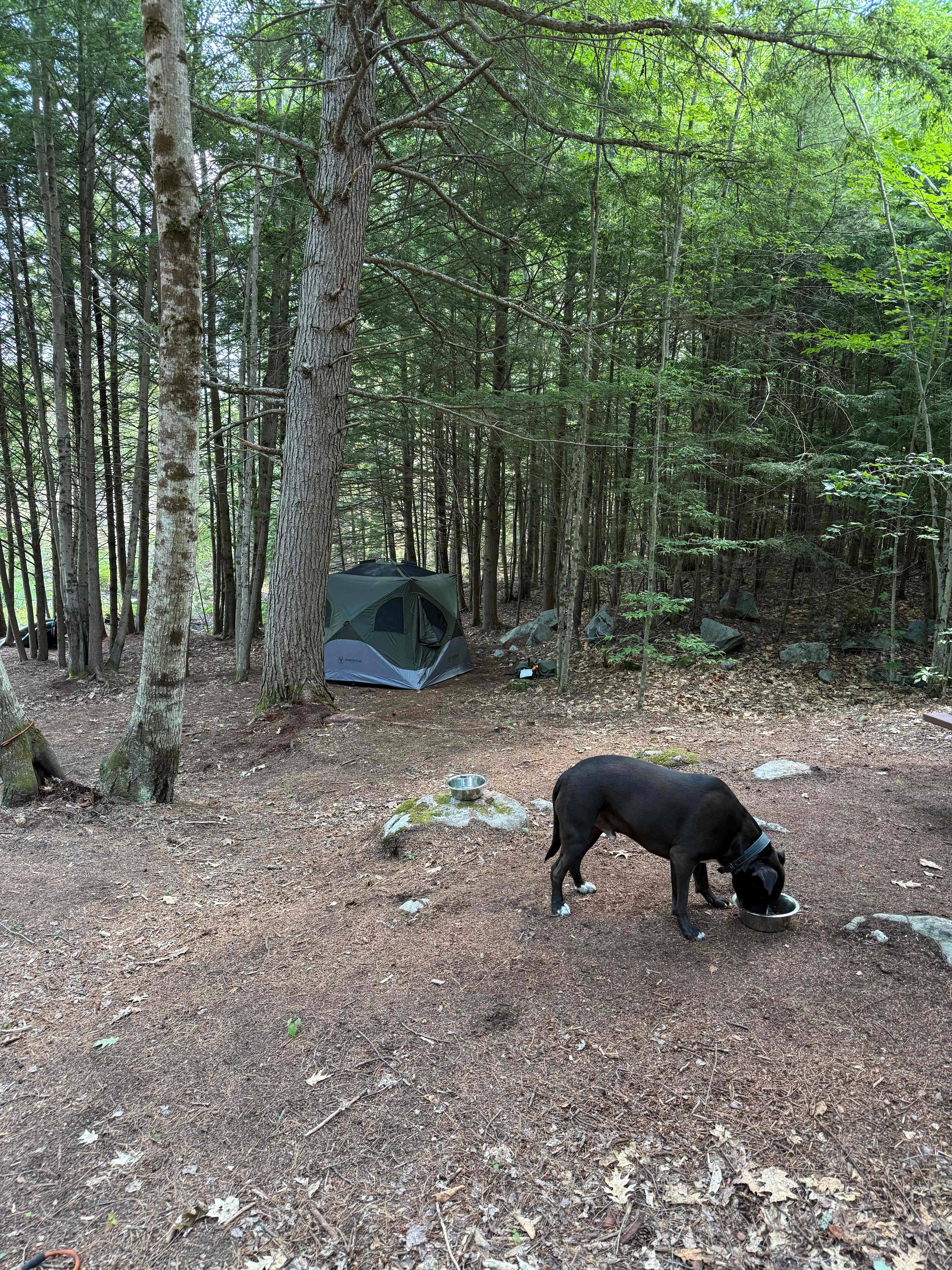 Mountain Brook Hideaway