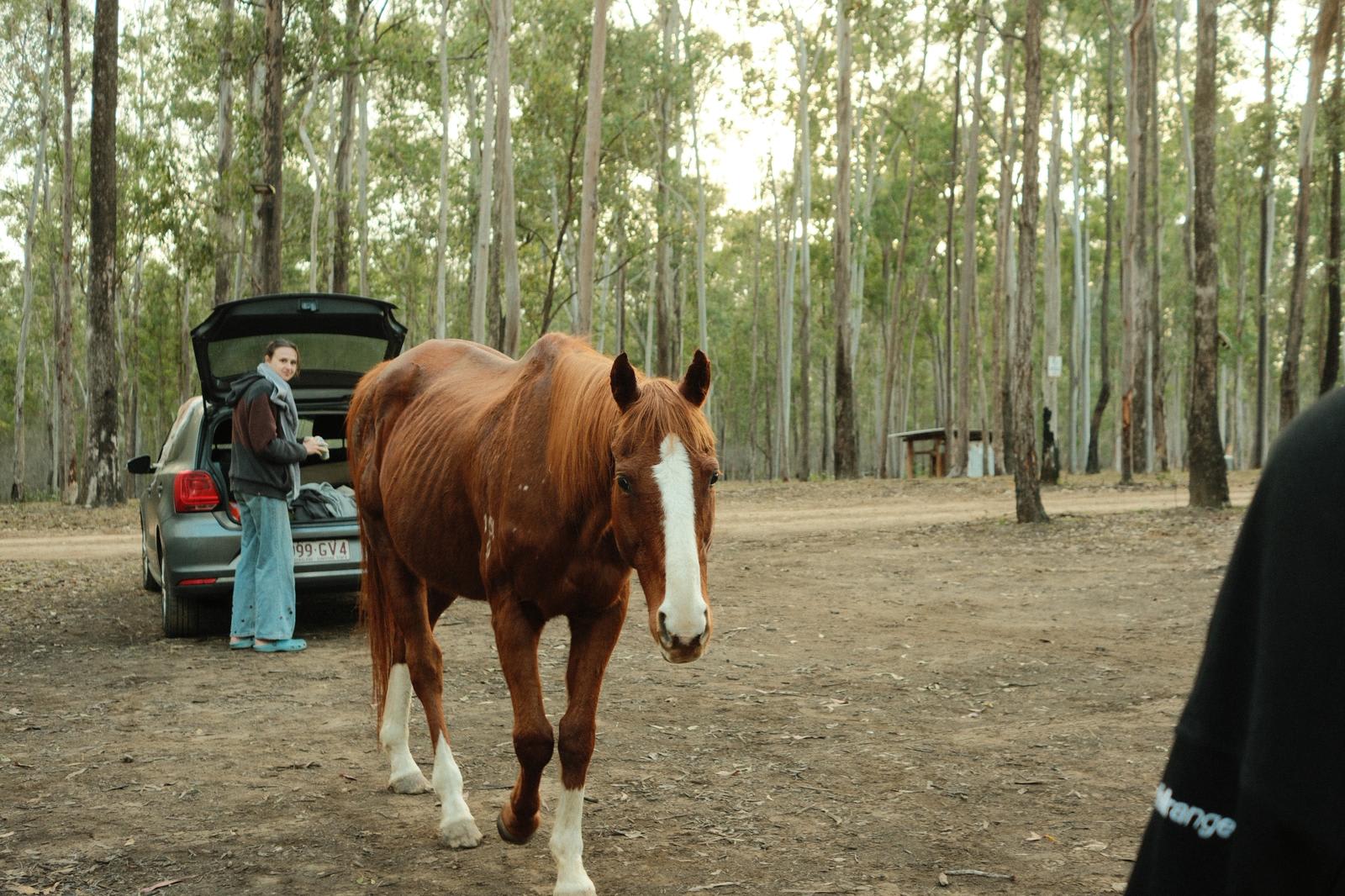 Hidden Camp Farm Stay