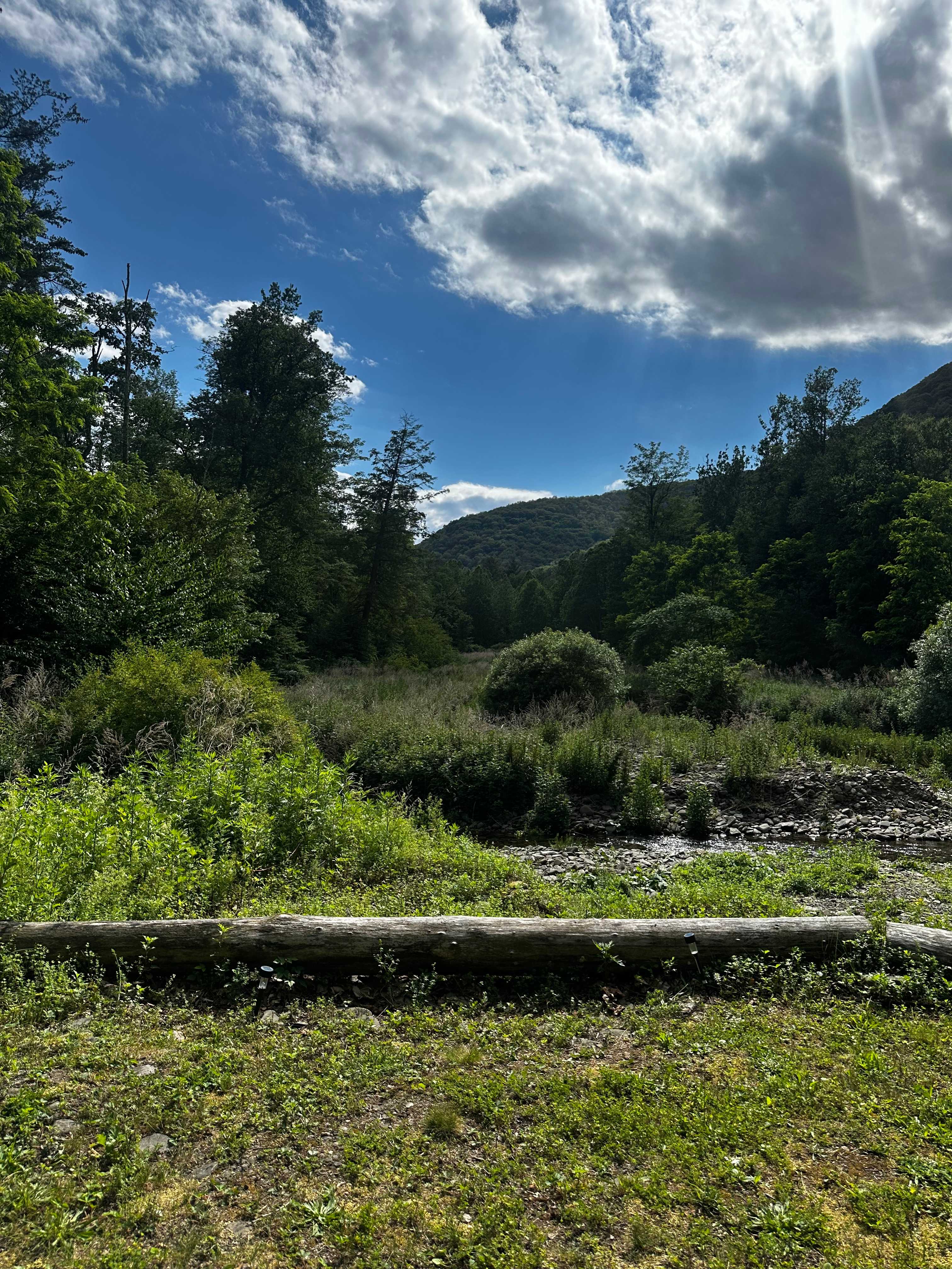 Big Indian Wilderness Paradise