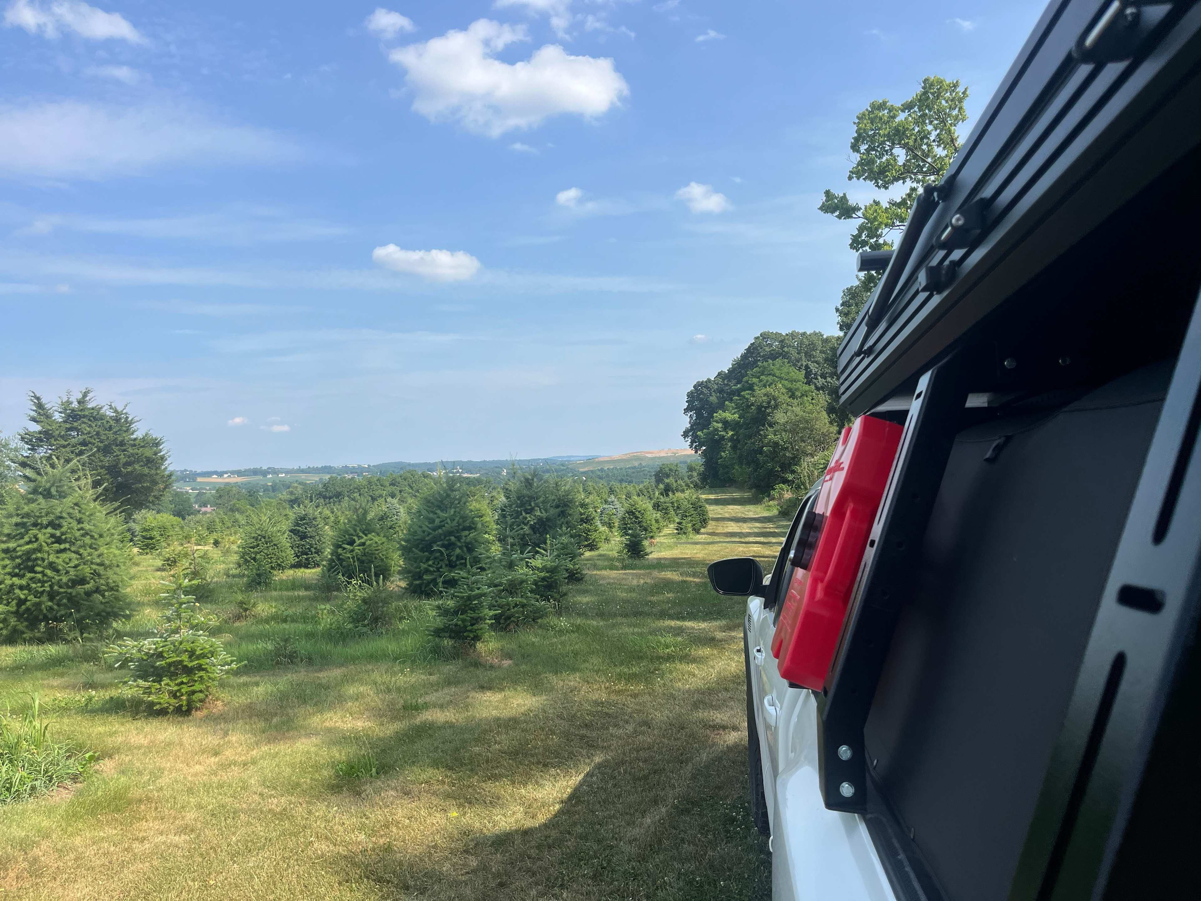 Christmas Tree Farm with Views