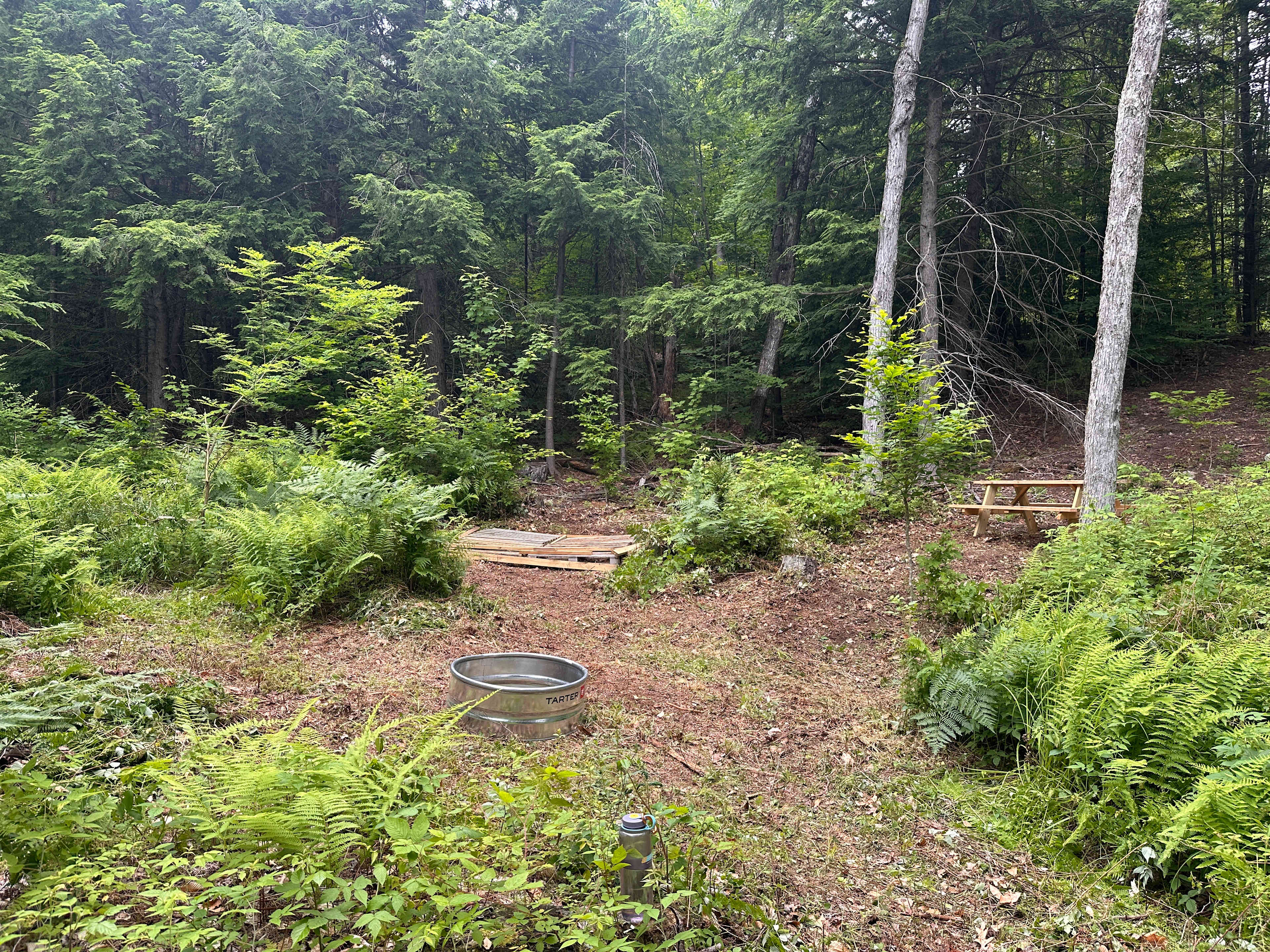 Picture of the site