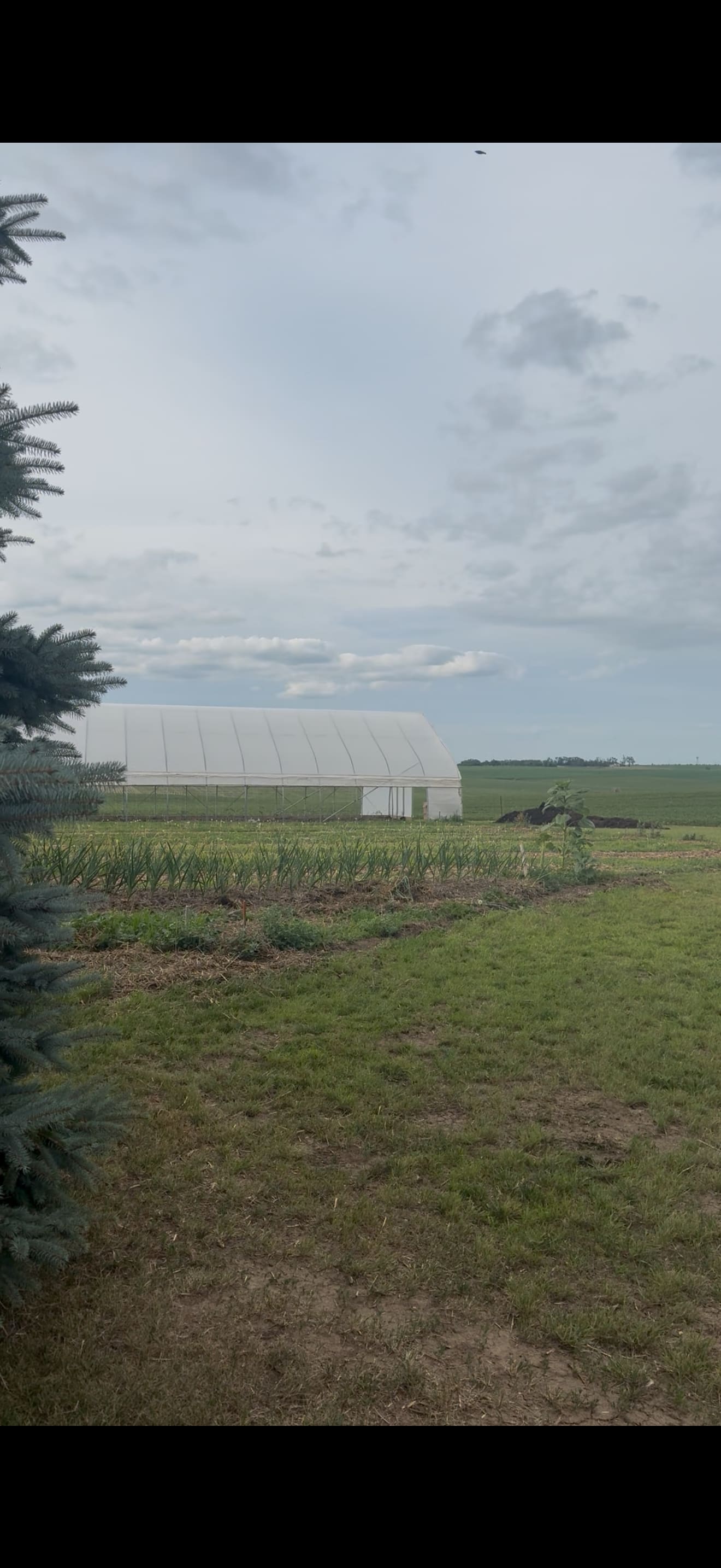 The Specialty Crop