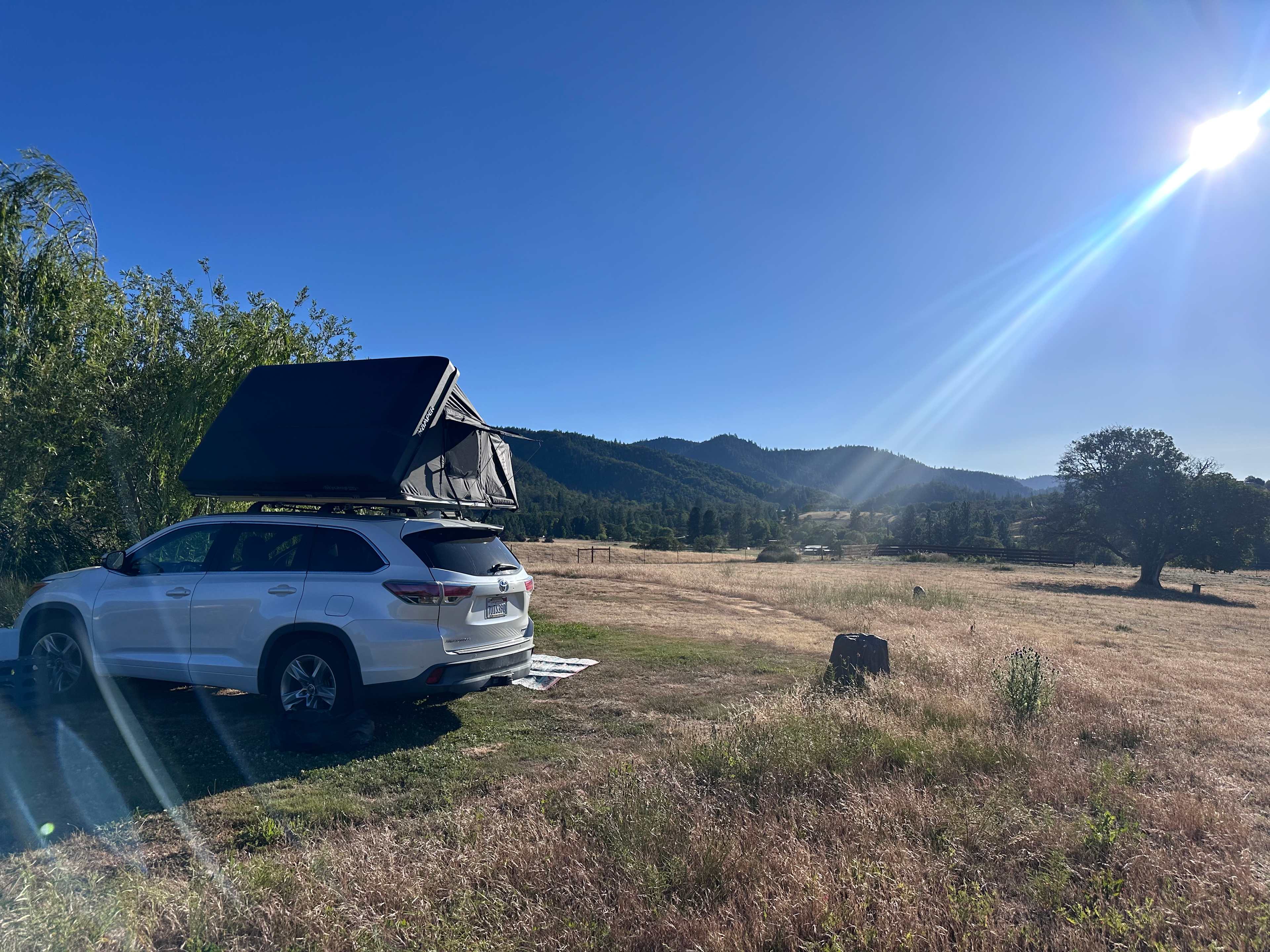 Lane Creek Reserve