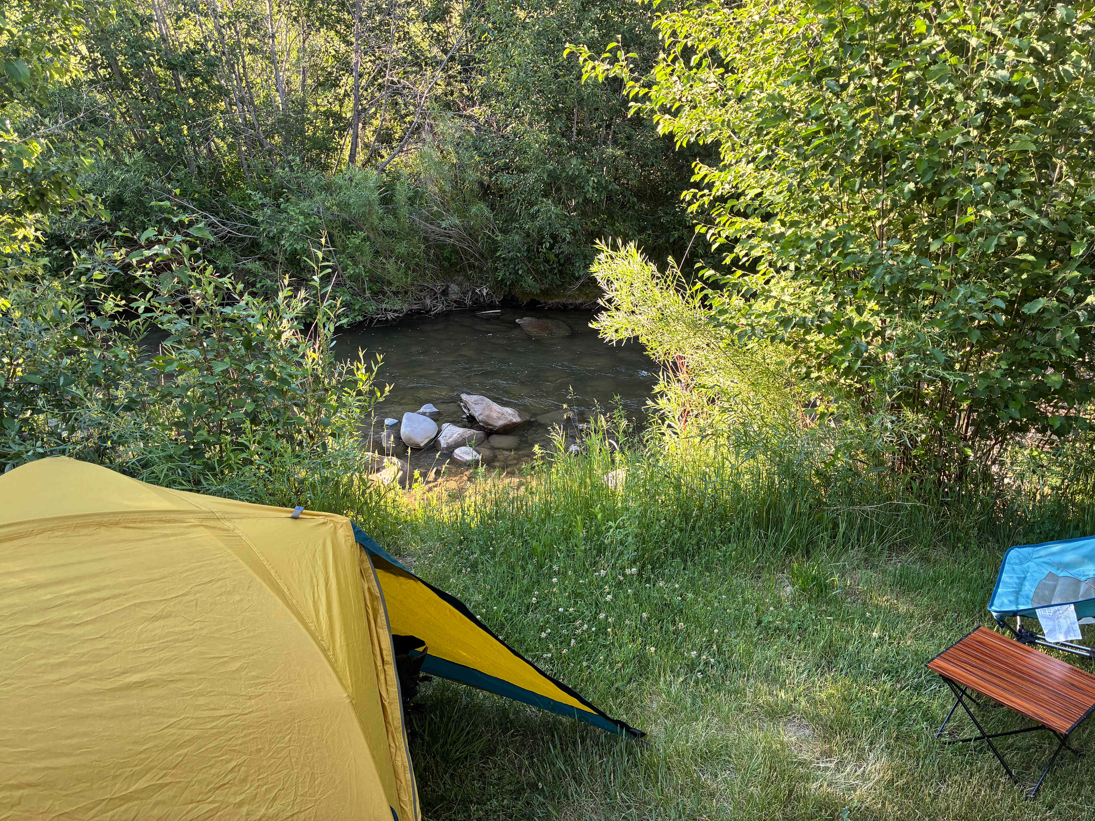 Picture of the site
