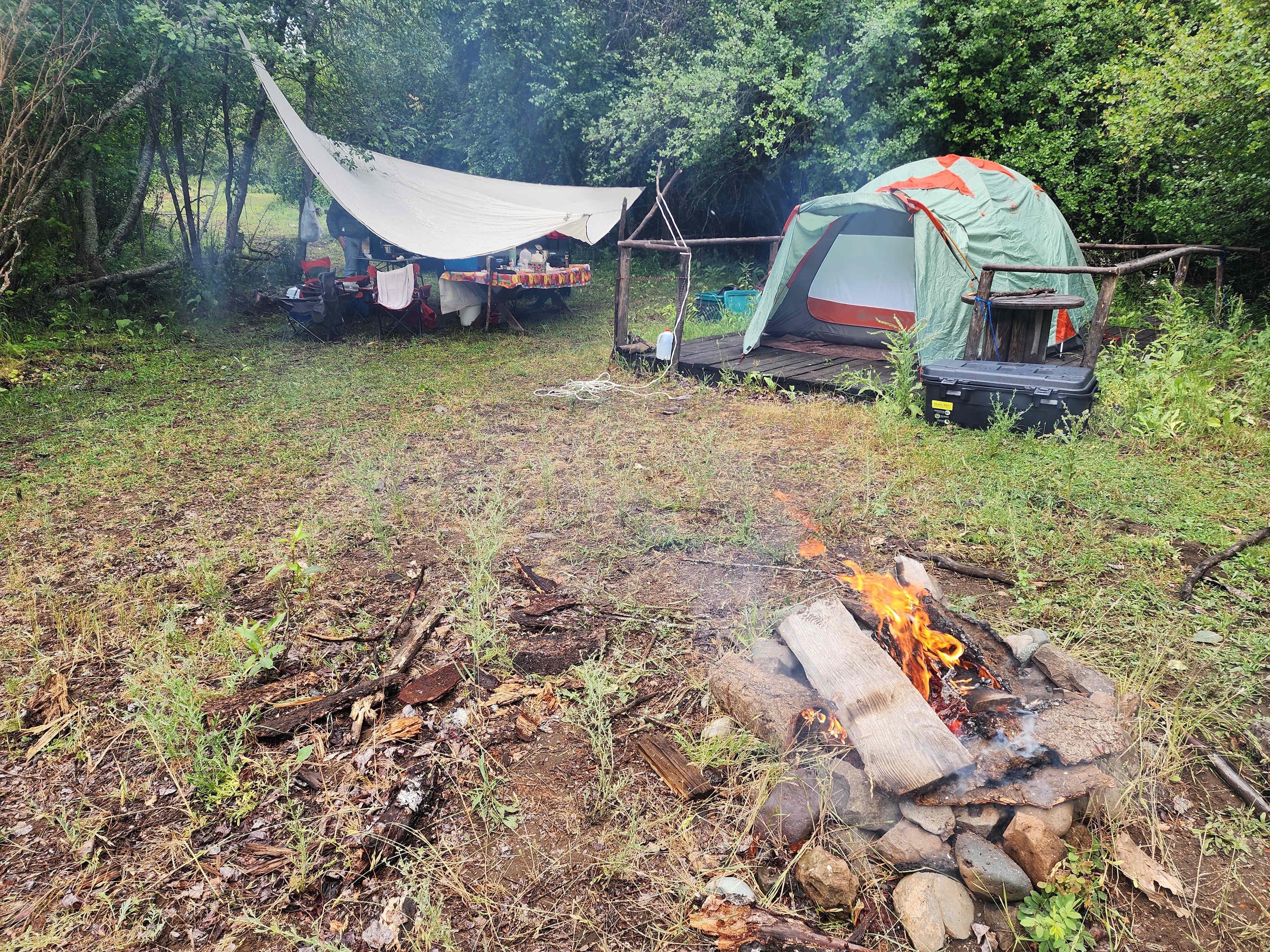 Just a little portion of the site we had!