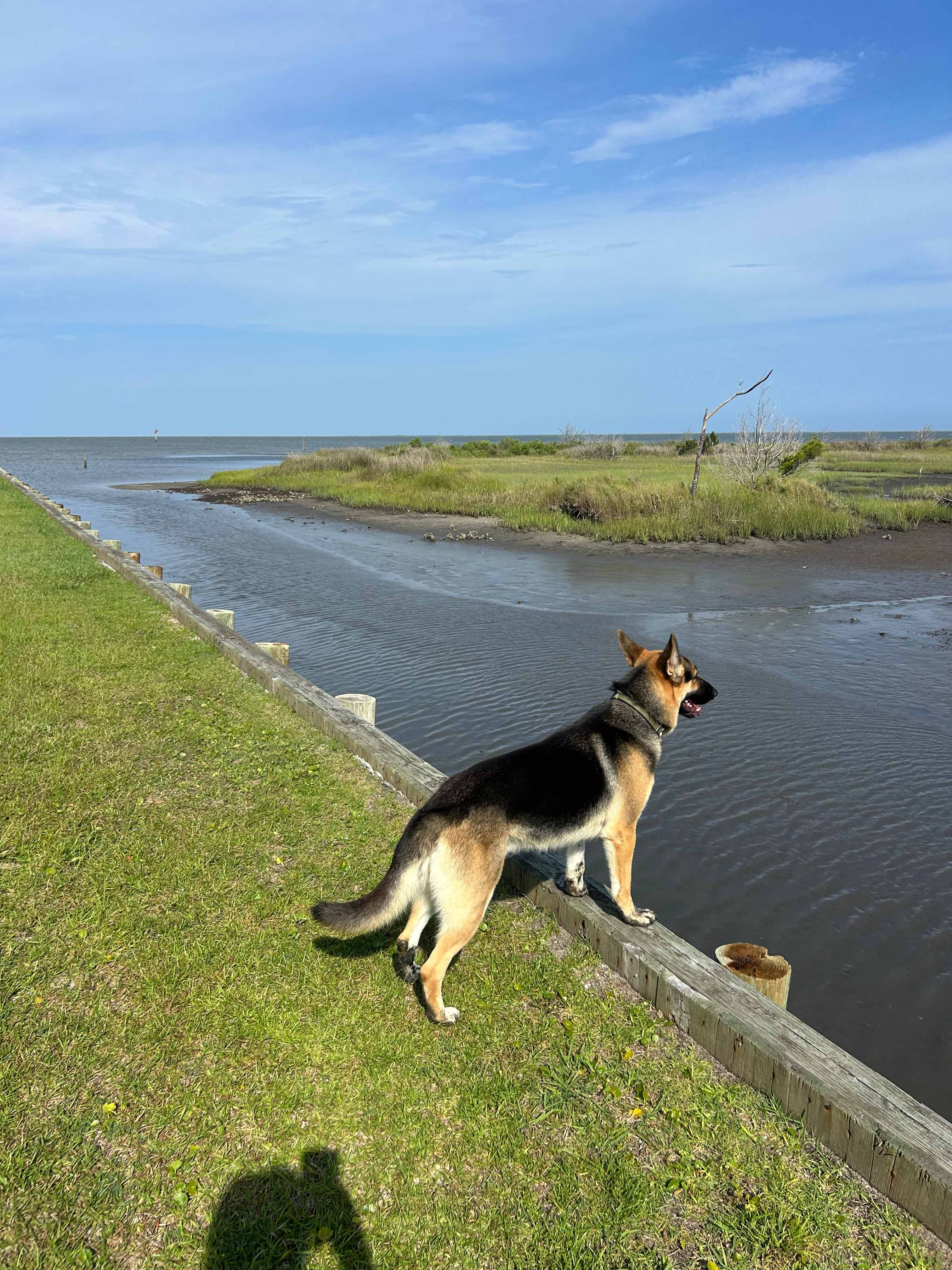 Escape near Cape Lookout