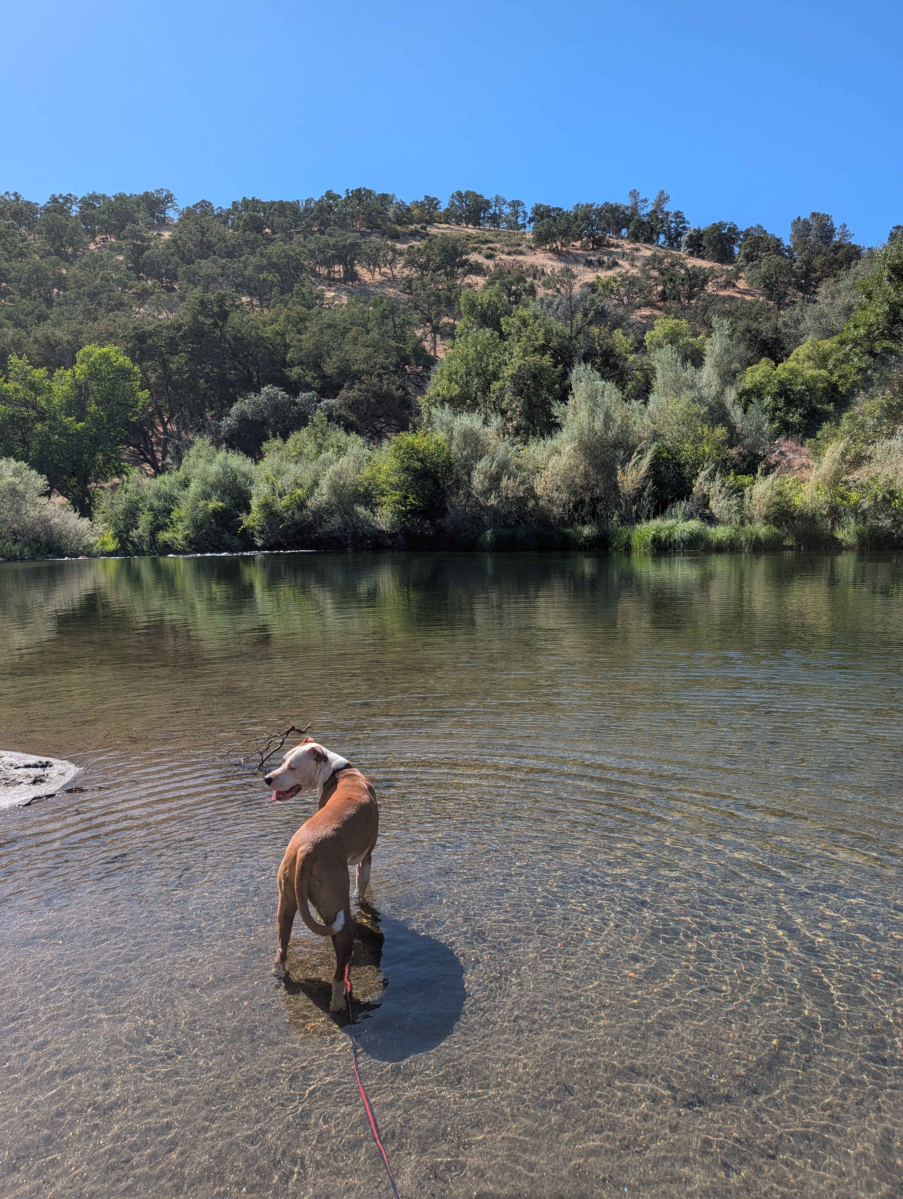 Cosumnes River Ranch