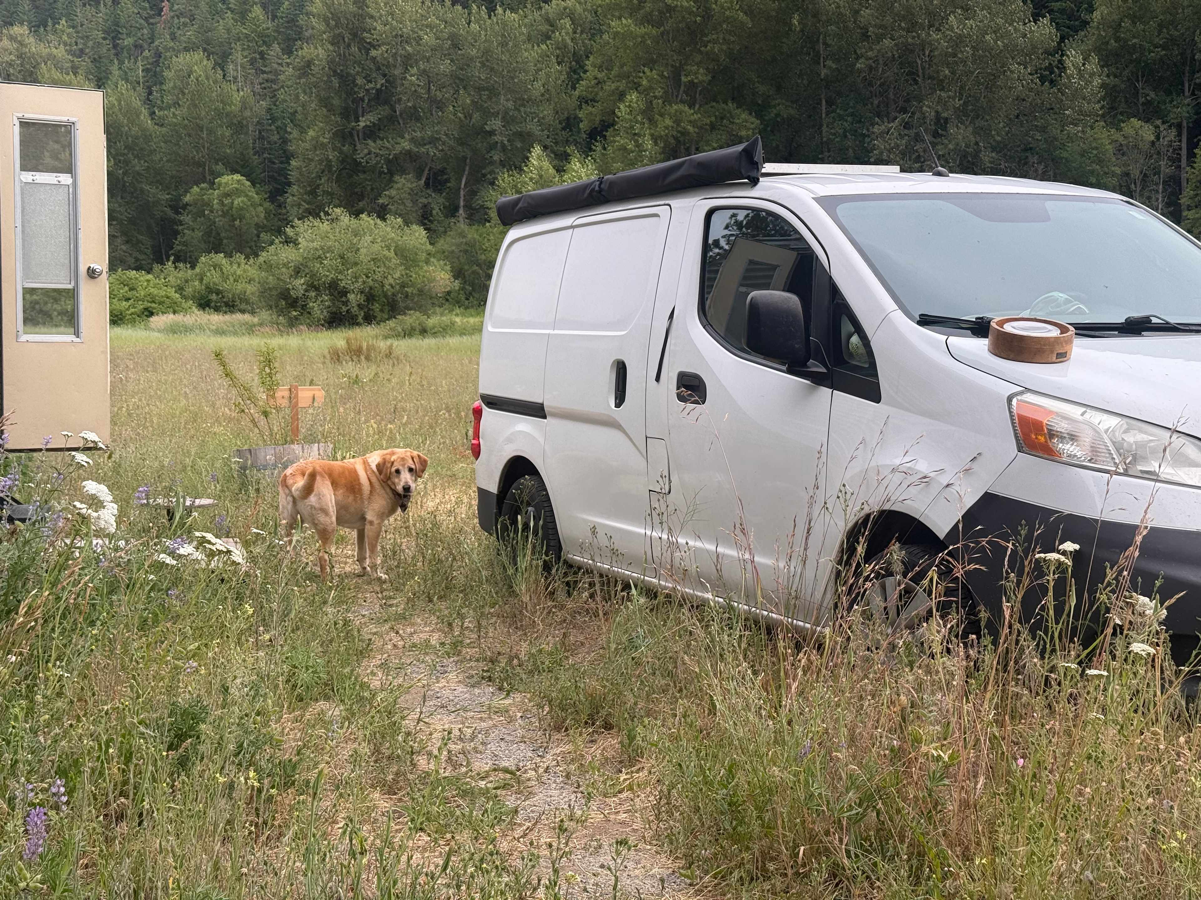 Dog friendly!