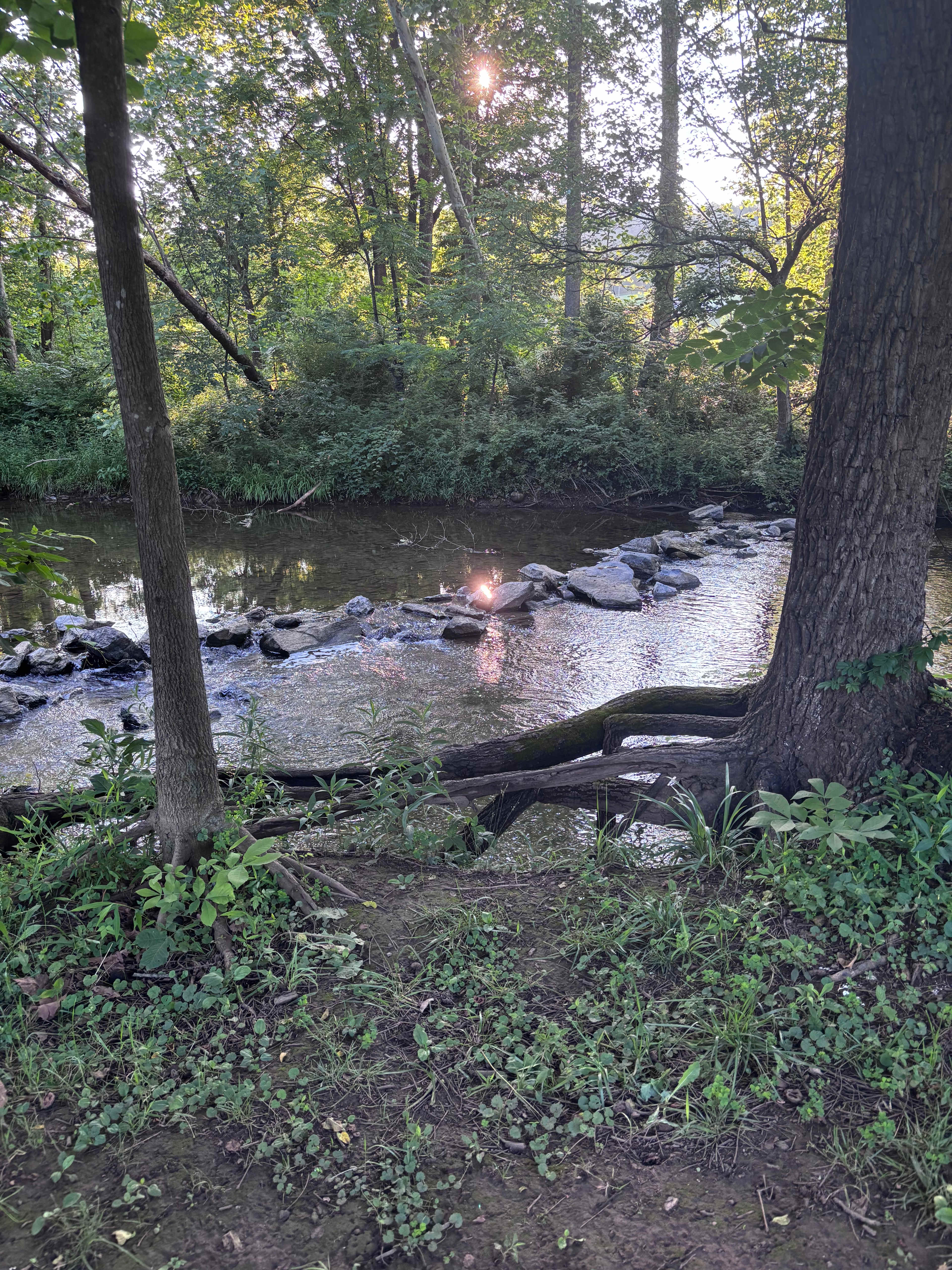 The Bluffs at Cedar Creek