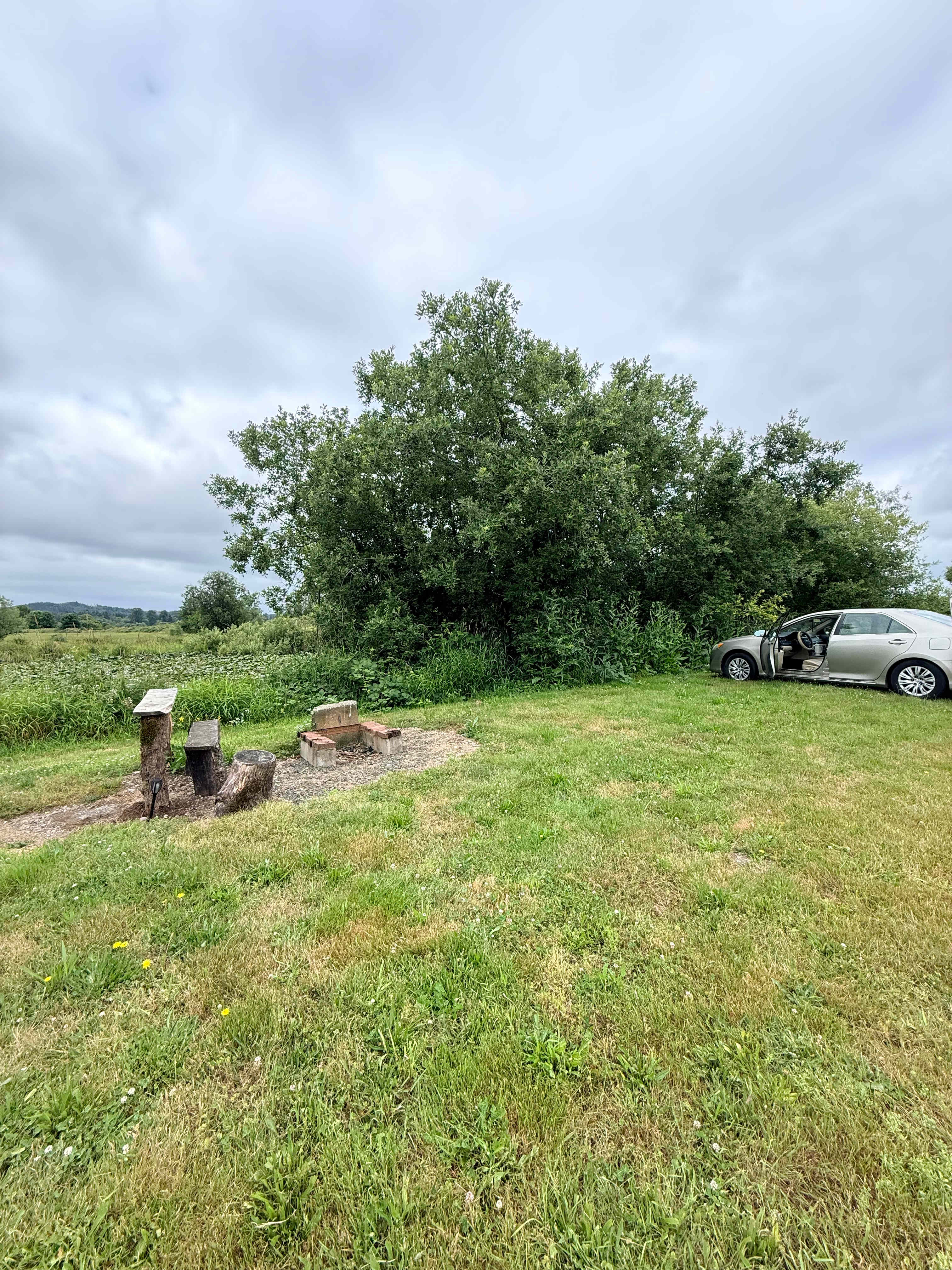Camp Birdwatch