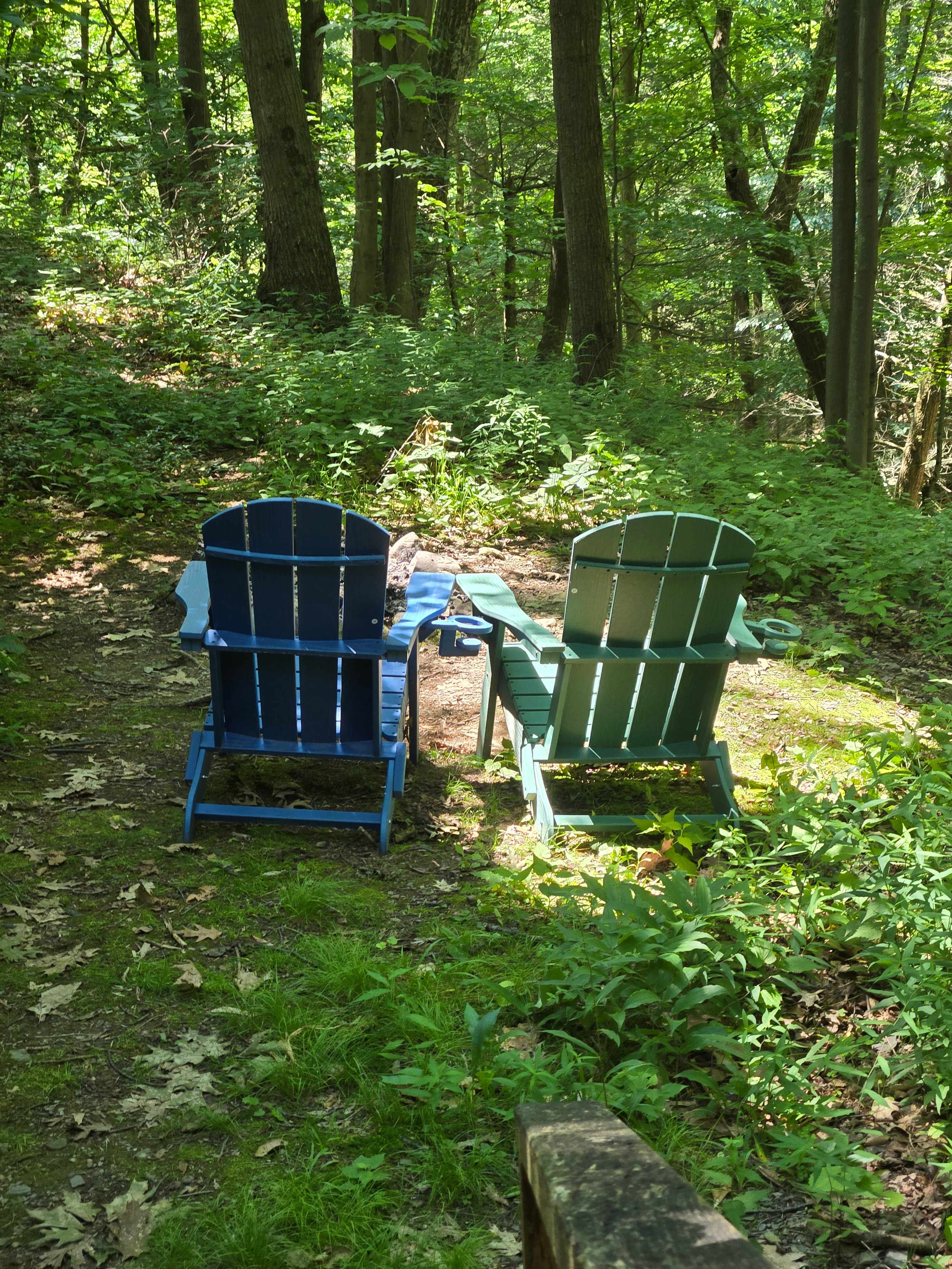 Camp fire area