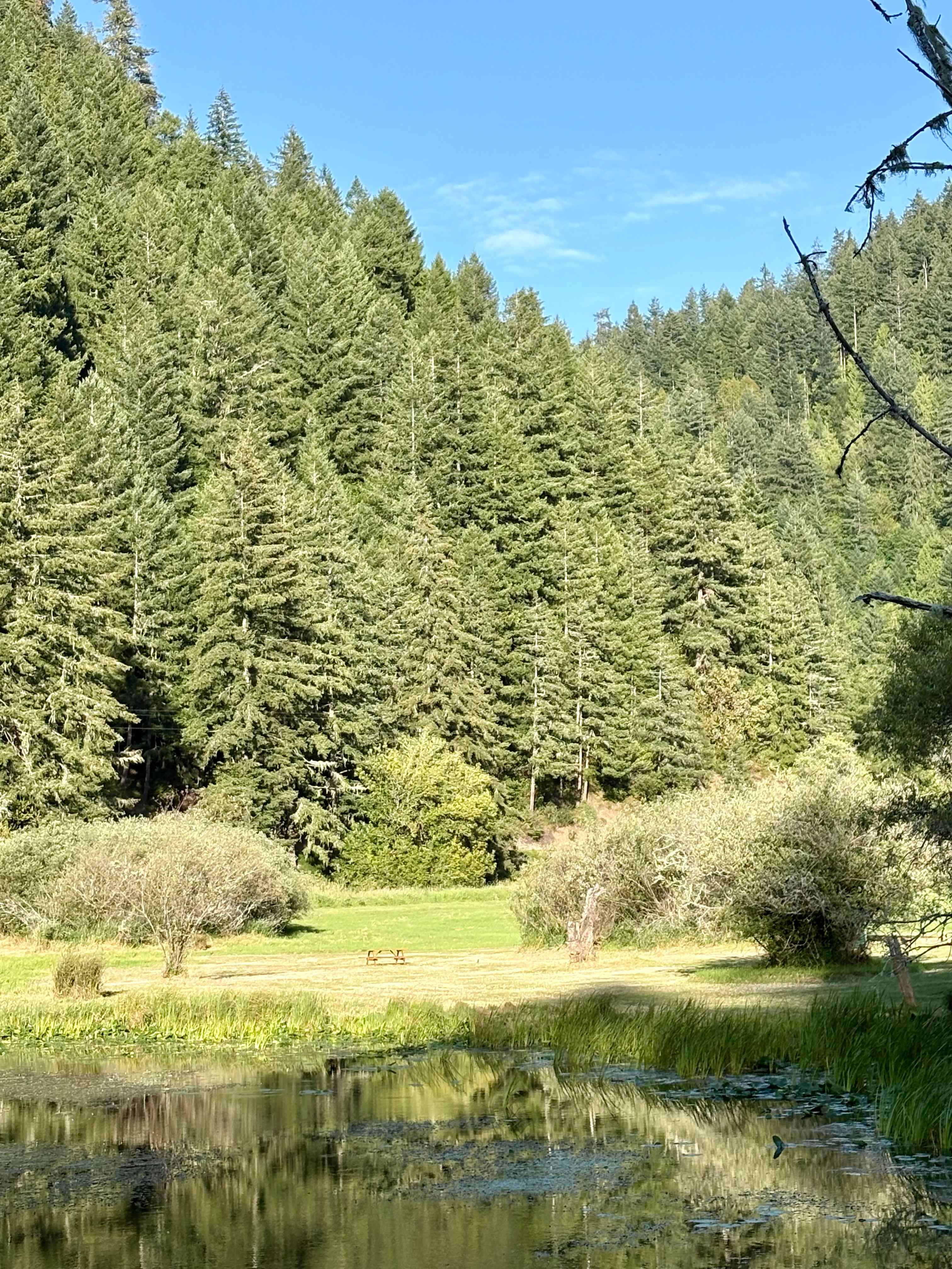 The Park at Loon Lake