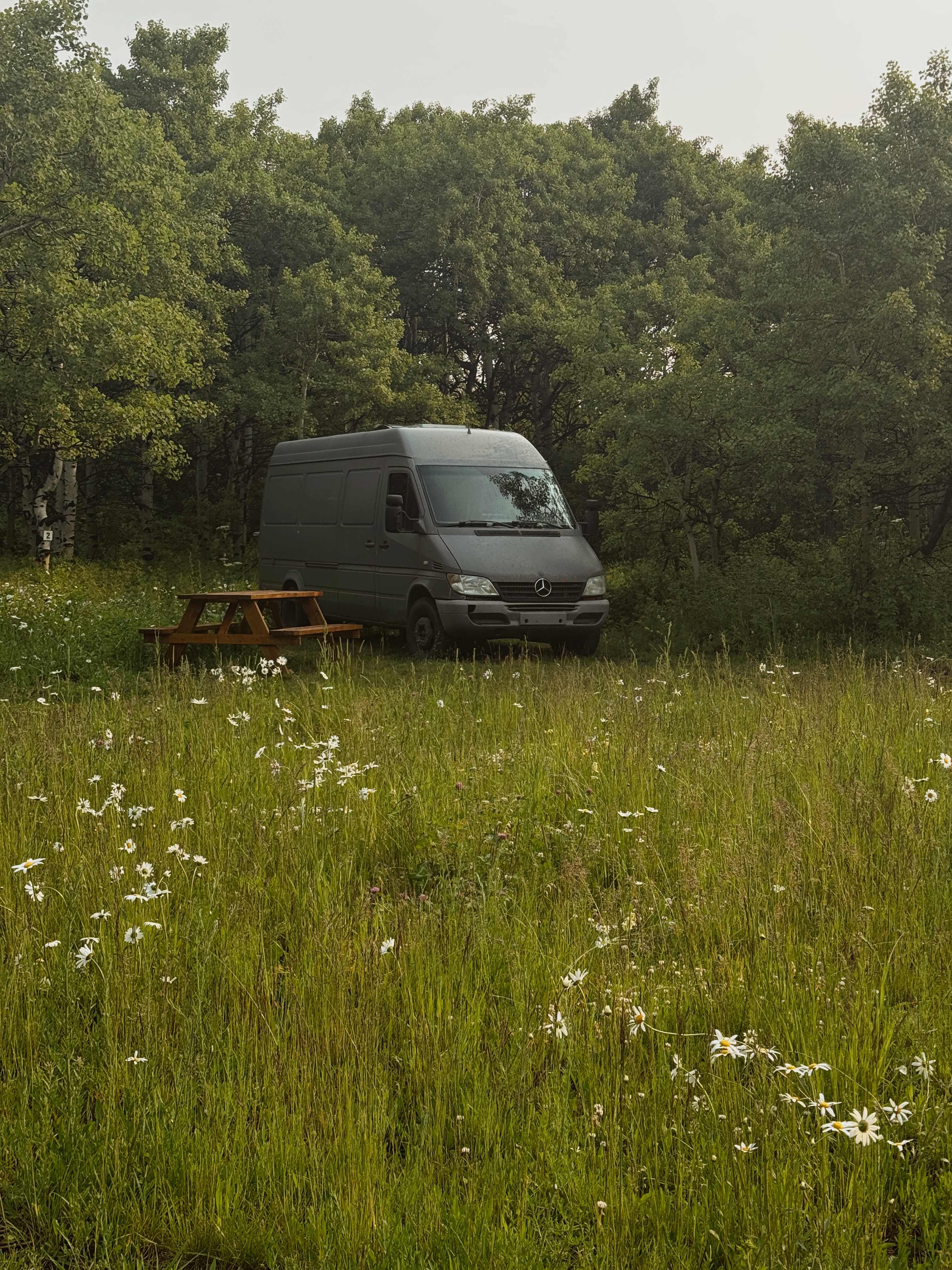 Midvale Creek Campground