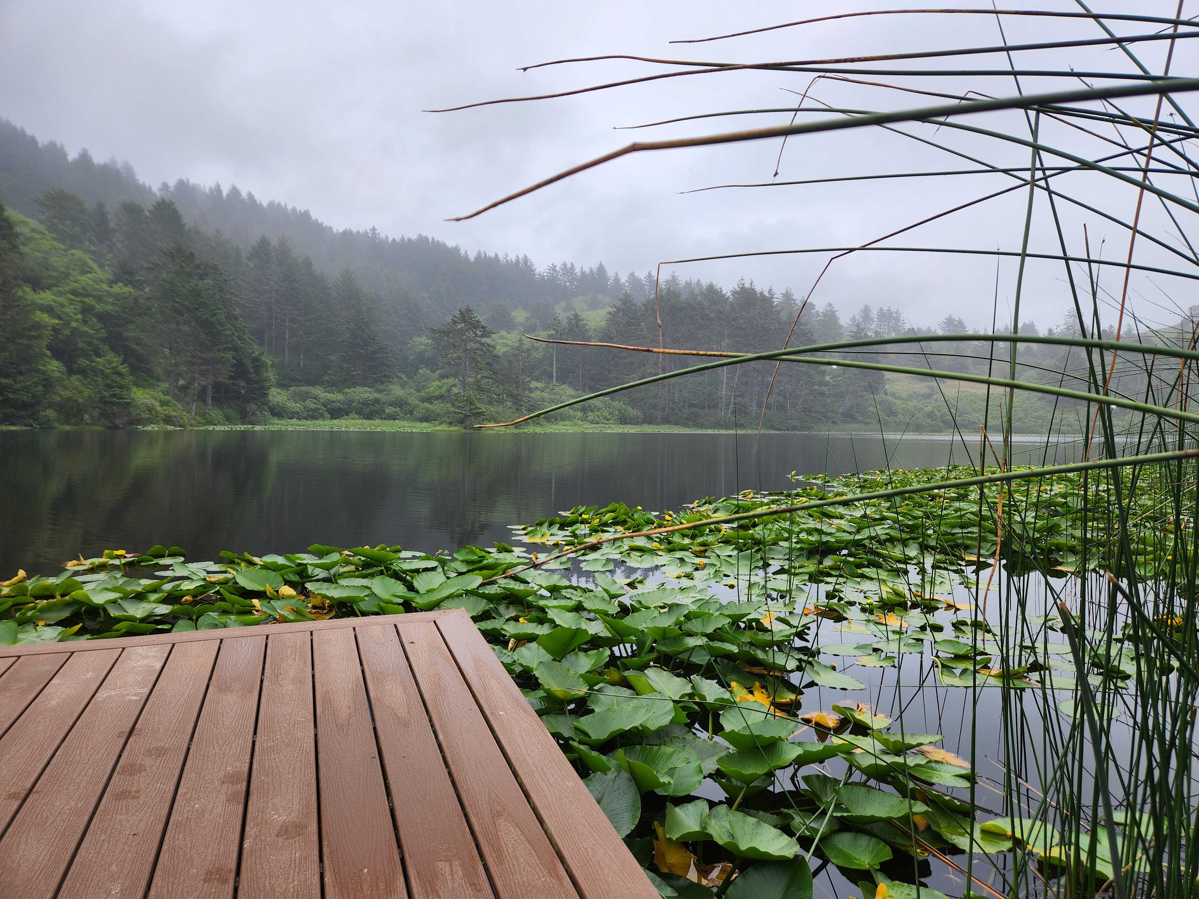 The Lake Pasture
