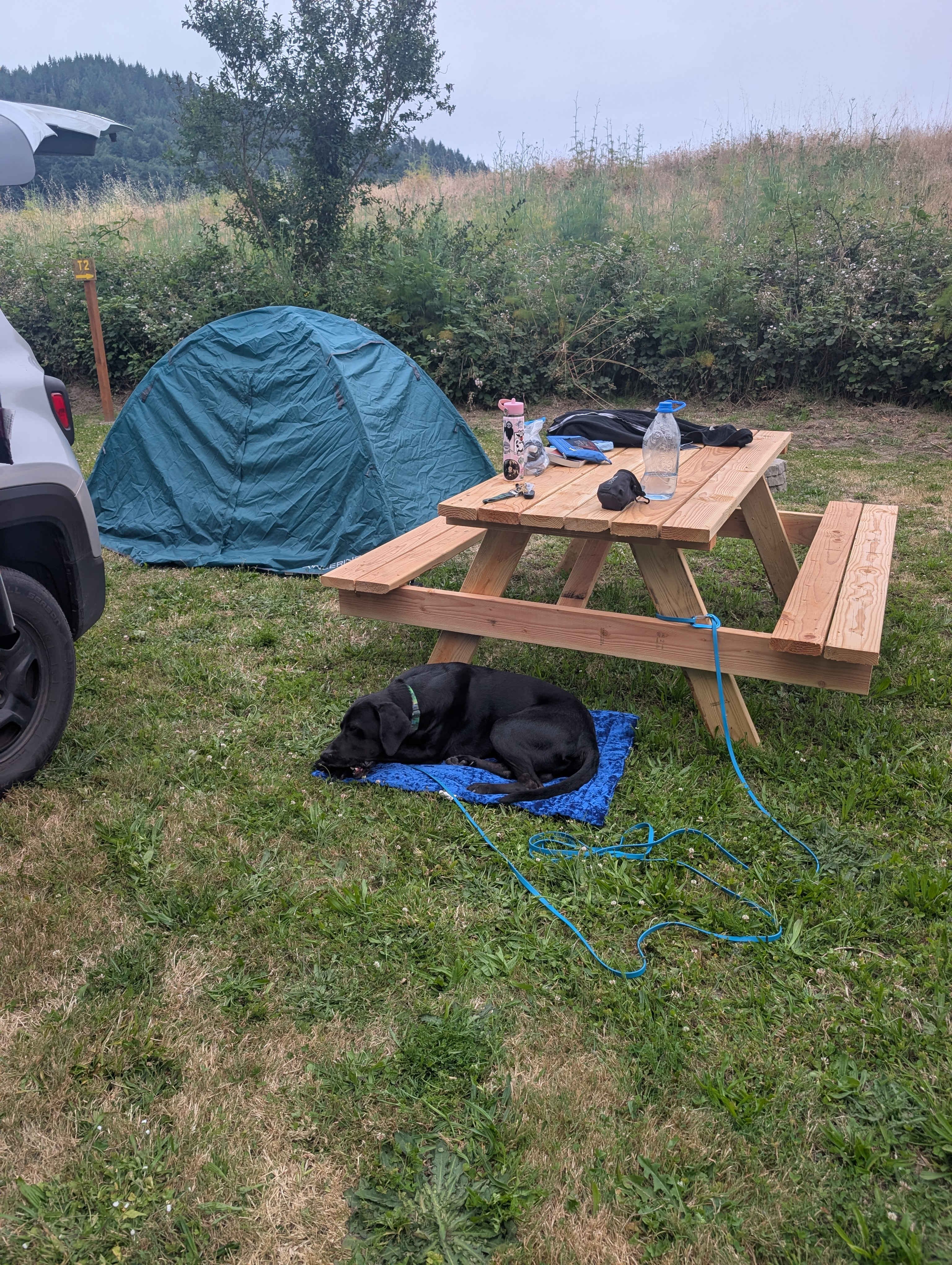 Terwer RV Park