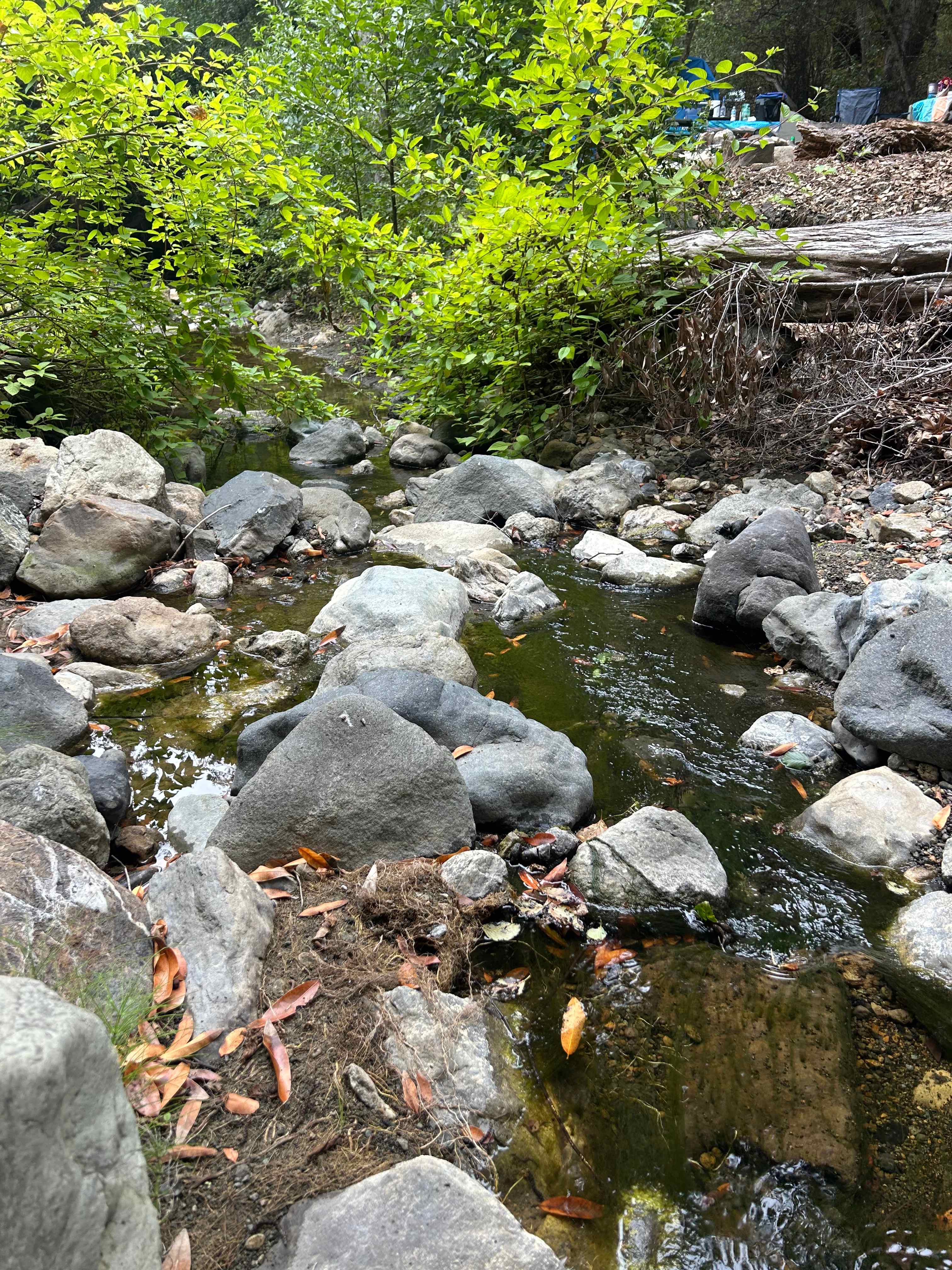 Creekside Camping and Mineral Baths