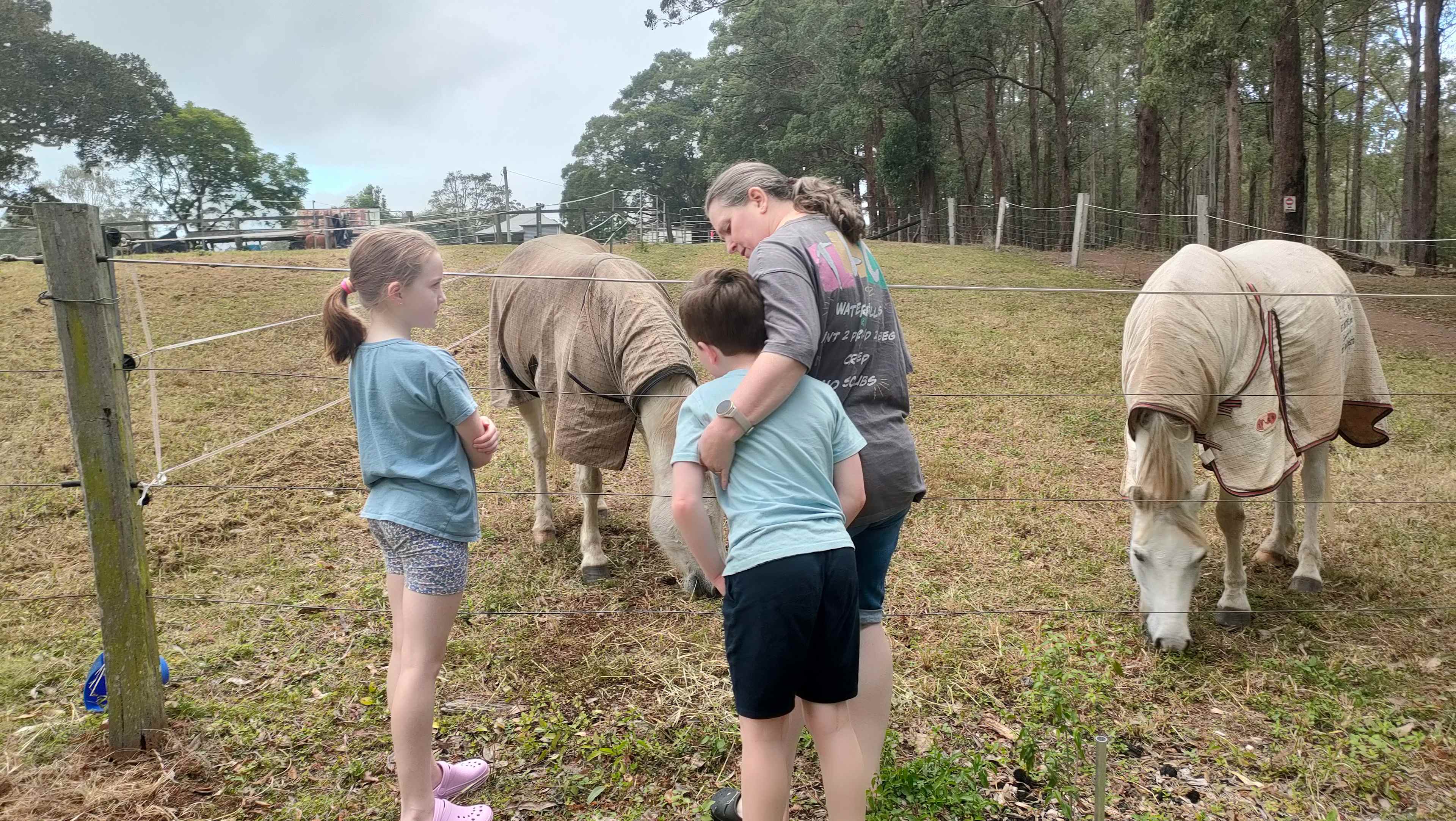 Yabba Creek Farm