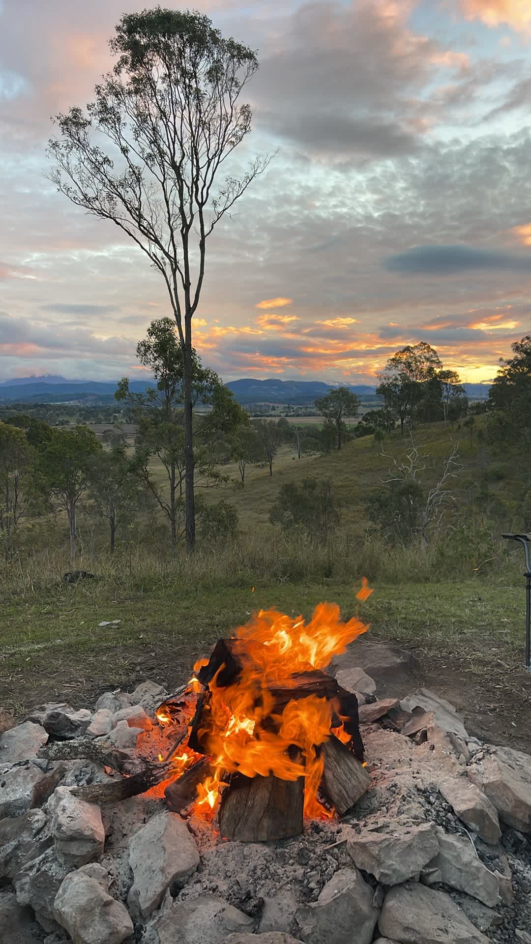 Larapinta